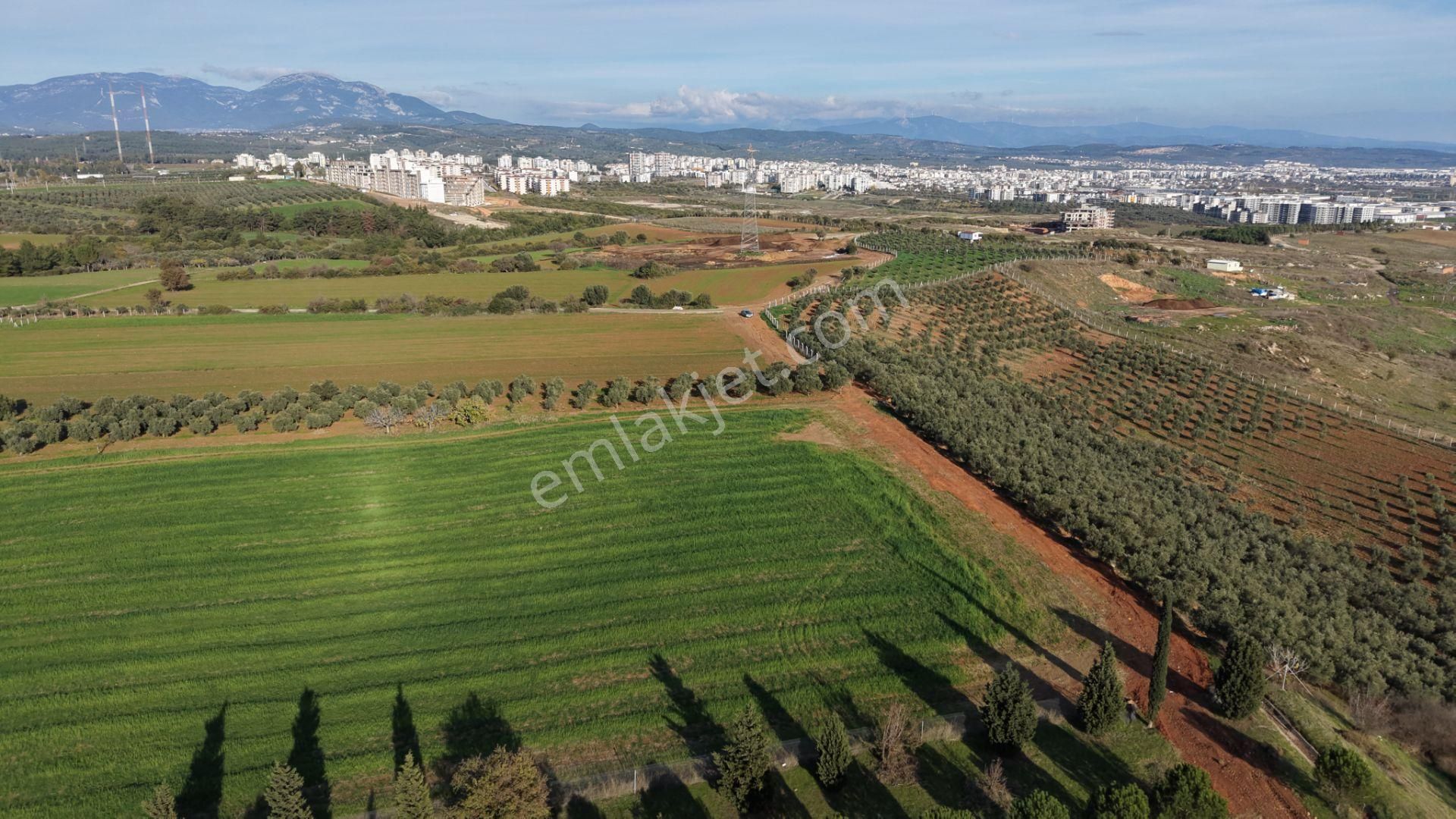 İzmir Havaalanına Ve İmara Yakın Satılık Tektapu 1.400 M2 Yatırımlık Arazi - Görsel 11