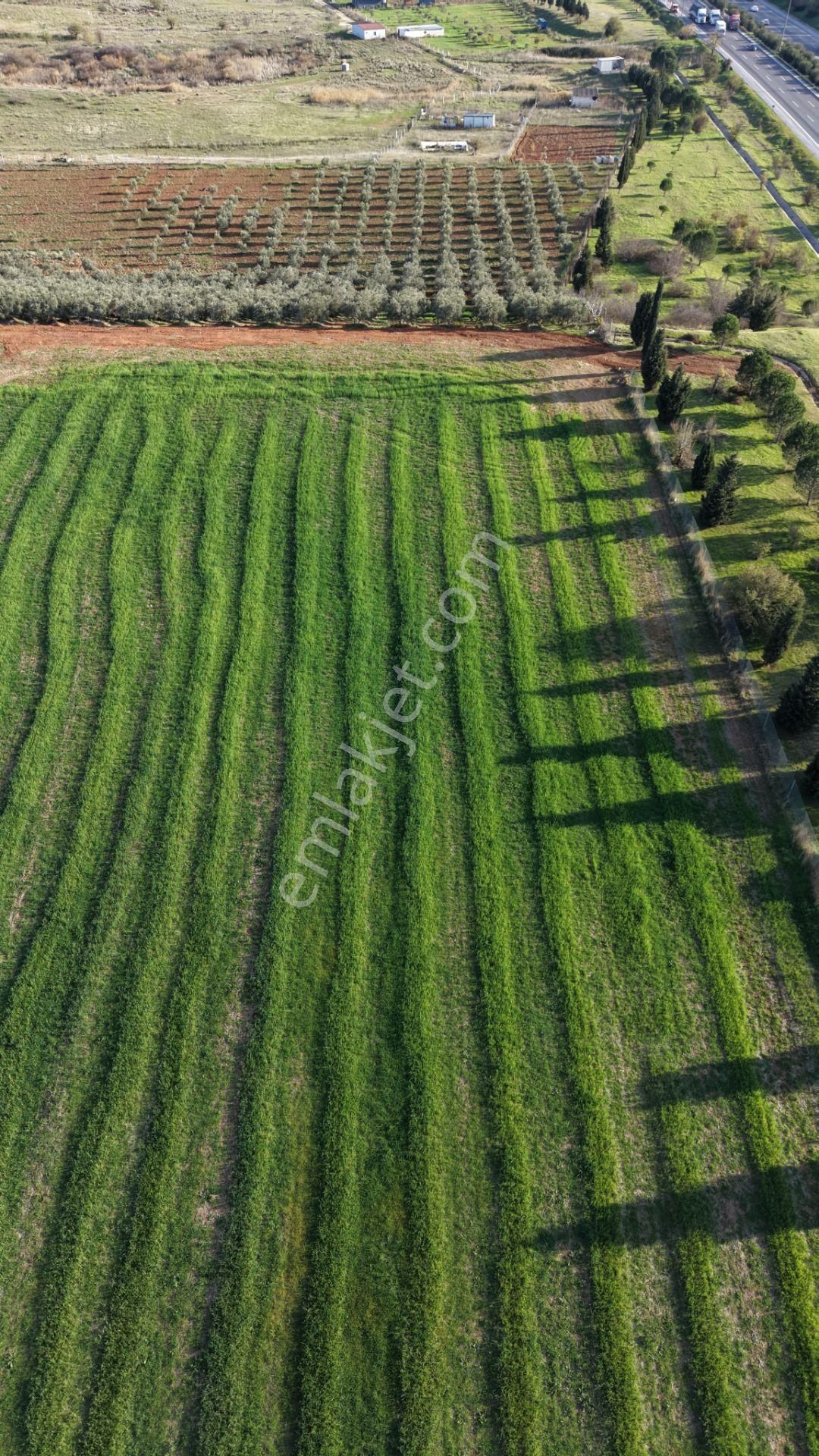 İzmir Havaalanına Ve İmara Yakın Satılık Tektapu 1.400 M2 Yatırımlık Arazi - Görsel 24