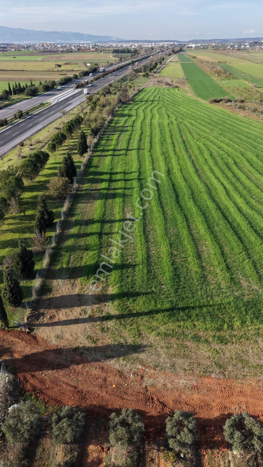 İzmir Havaalanına Ve İmara Yakın Satılık Tektapu 1.400 M2 Yatırımlık Arazi - Görsel 18