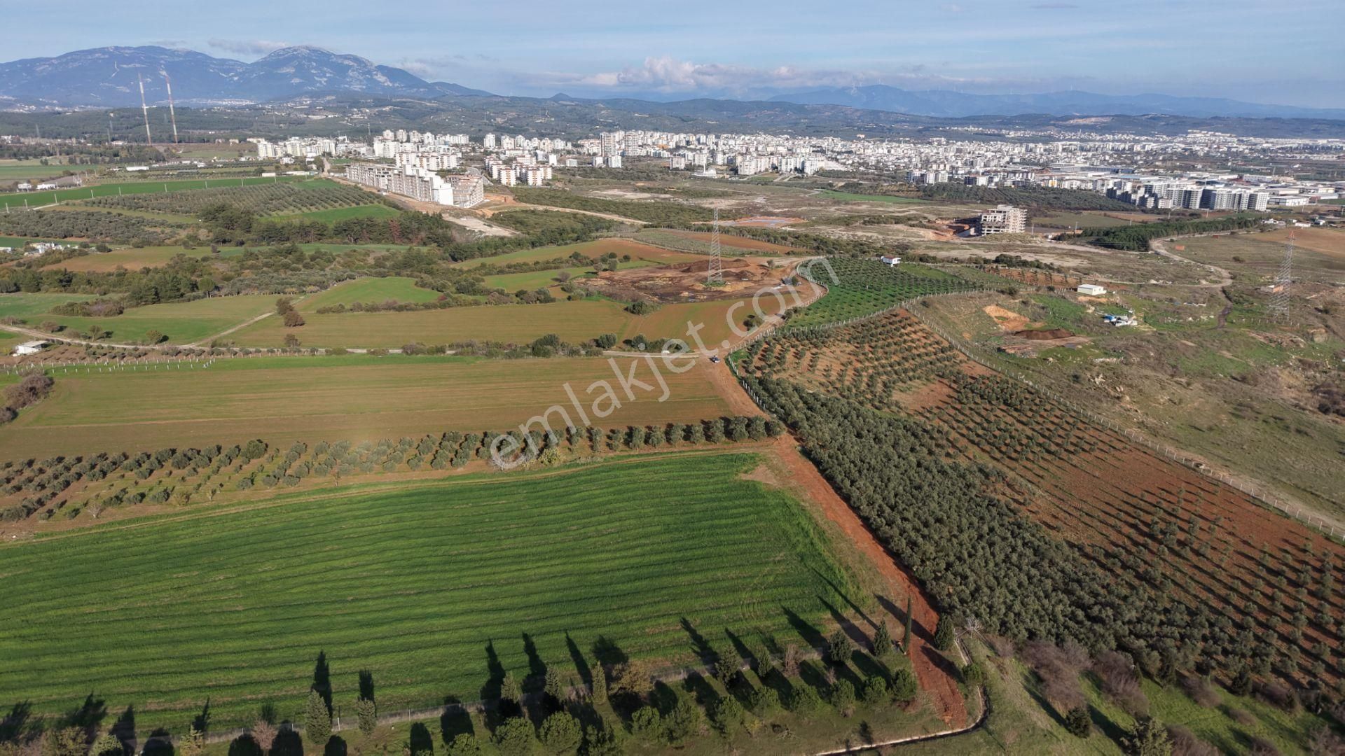İzmir Havaalanına Ve İmara Yakın Satılık Tektapu 1.400 M2 Yatırımlık Arazi - Görsel 9