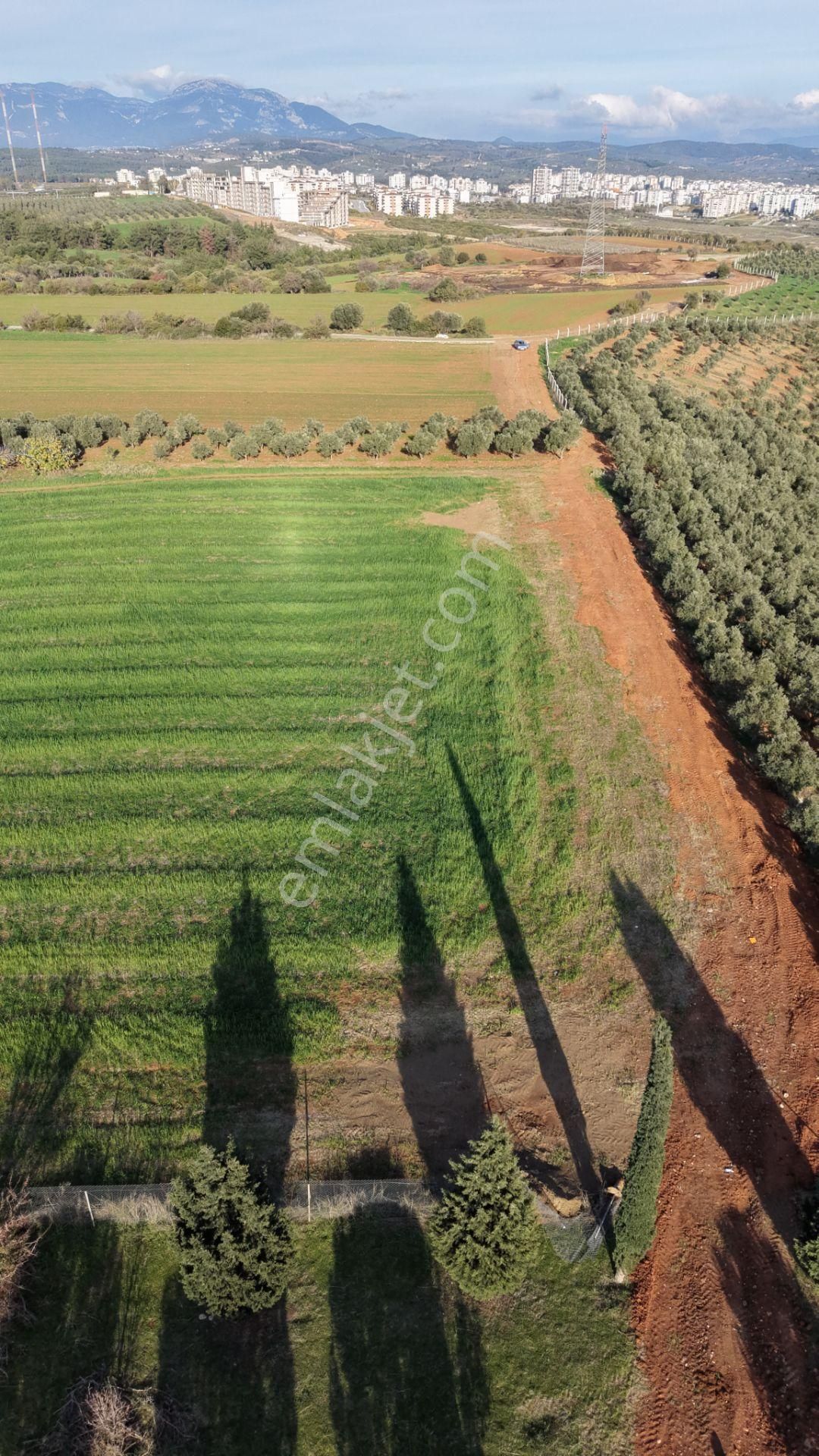 İzmir Havaalanına Ve İmara Yakın Satılık Tektapu 1.400 M2 Yatırımlık Arazi - Görsel 28