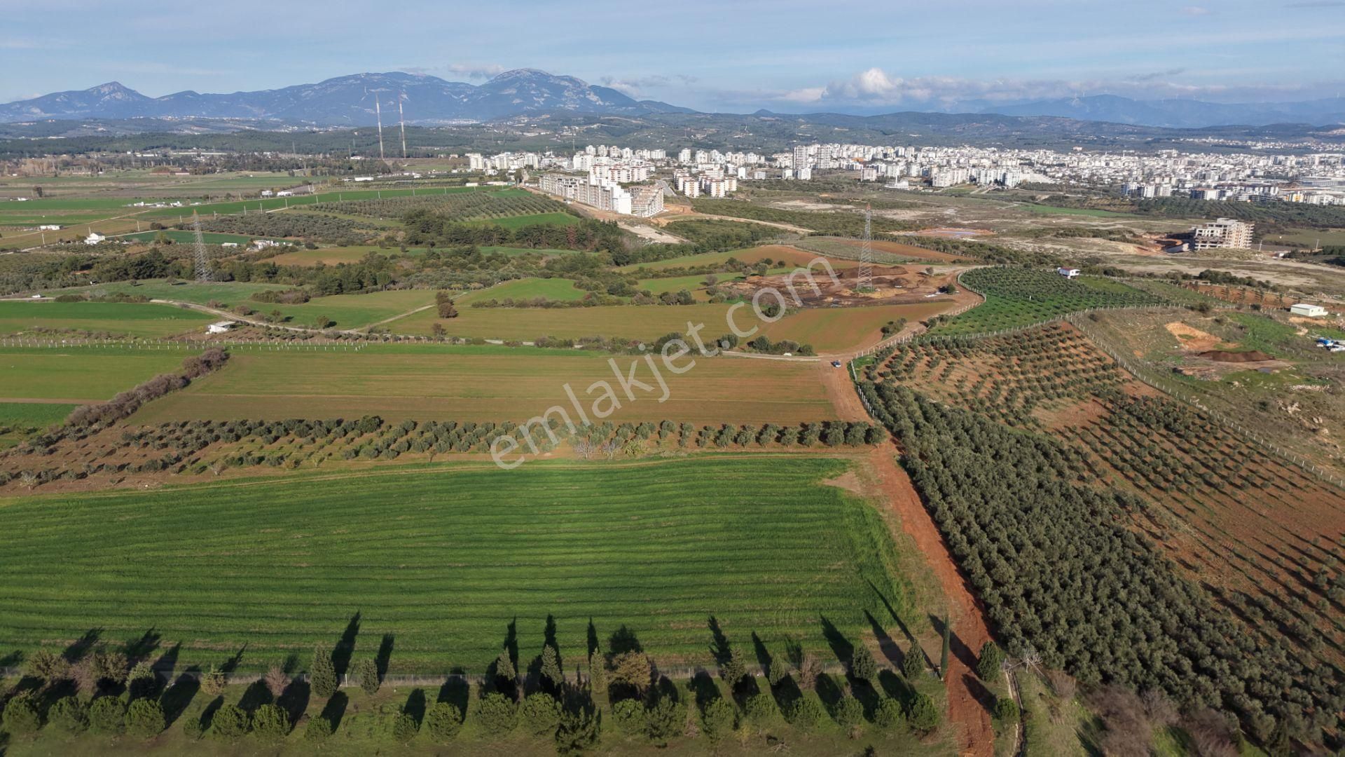 İzmir Havaalanına Ve İmara Yakın Satılık Tektapu 1.400 M2 Yatırımlık Arazi - Görsel 5