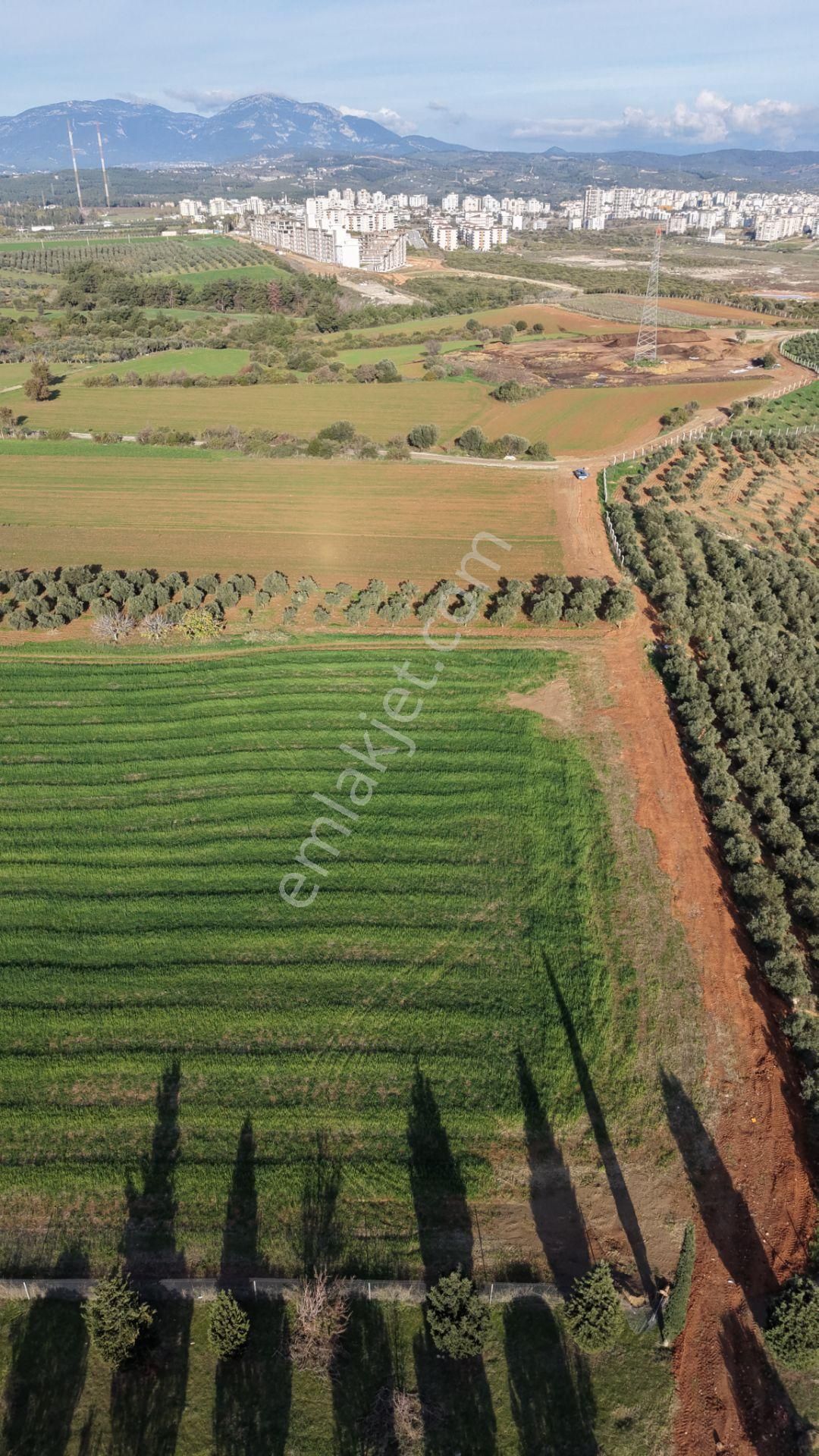İzmir Havaalanına Ve İmara Yakın Satılık Tektapu 1.400 M2 Yatırımlık Arazi - Görsel 17