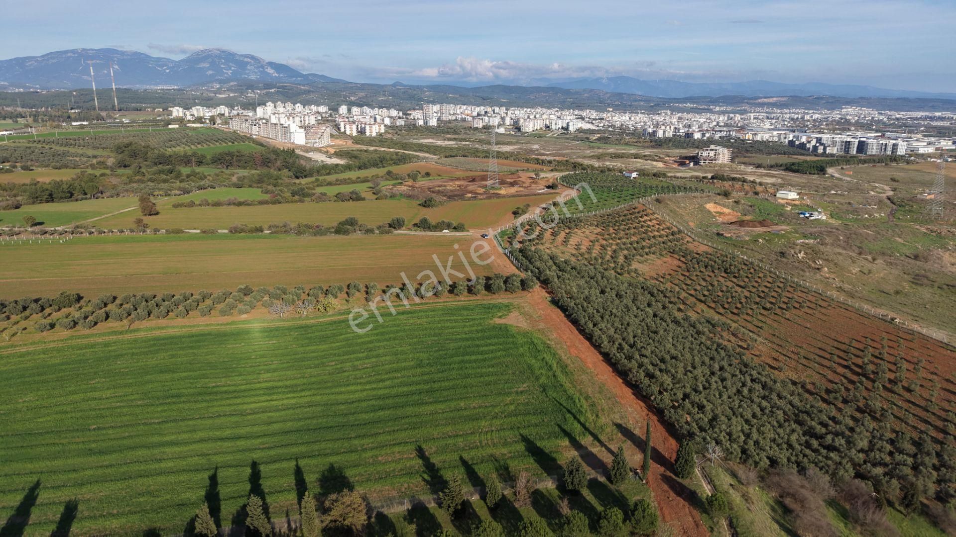 İzmir Havaalanına Ve İmara Yakın Satılık Tektapu 1.400 M2 Yatırımlık Arazi - Görsel 10