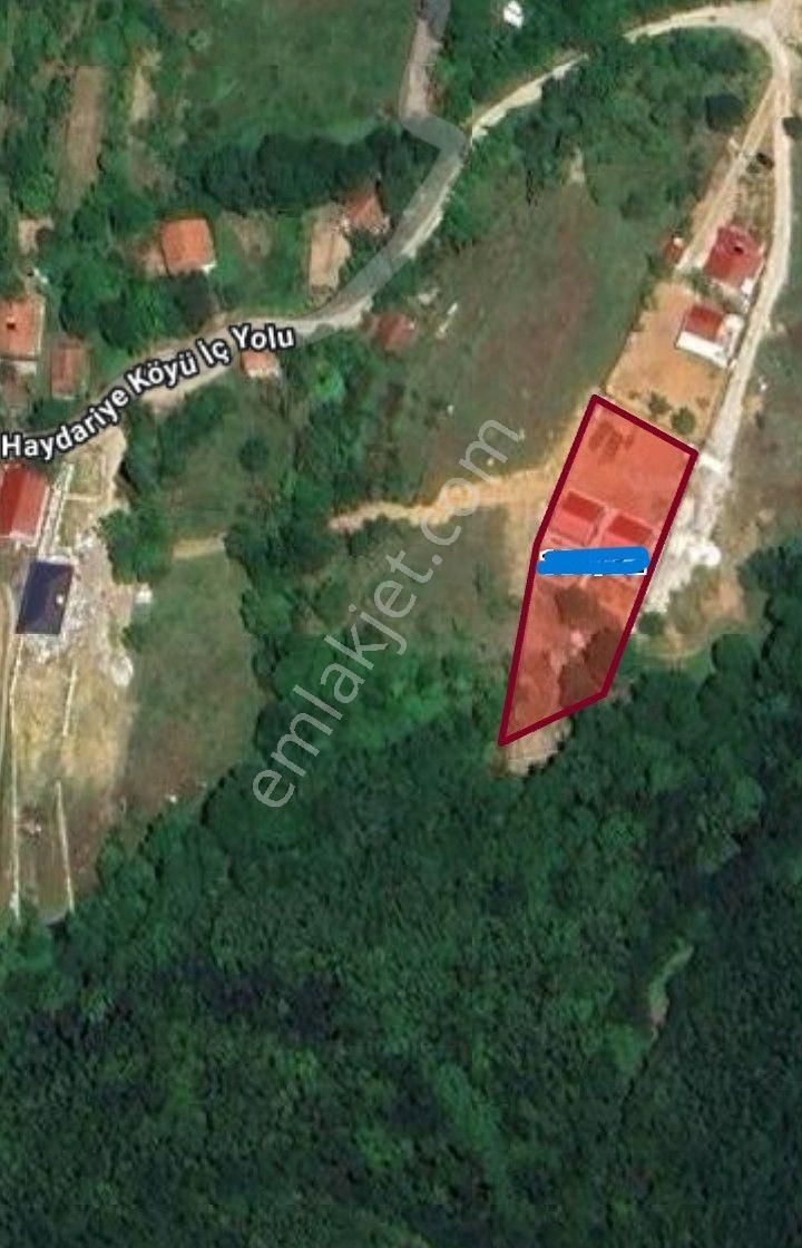 Haydariye Köyünde Merkeze Yakın Satılık Tarla - Görsel 3