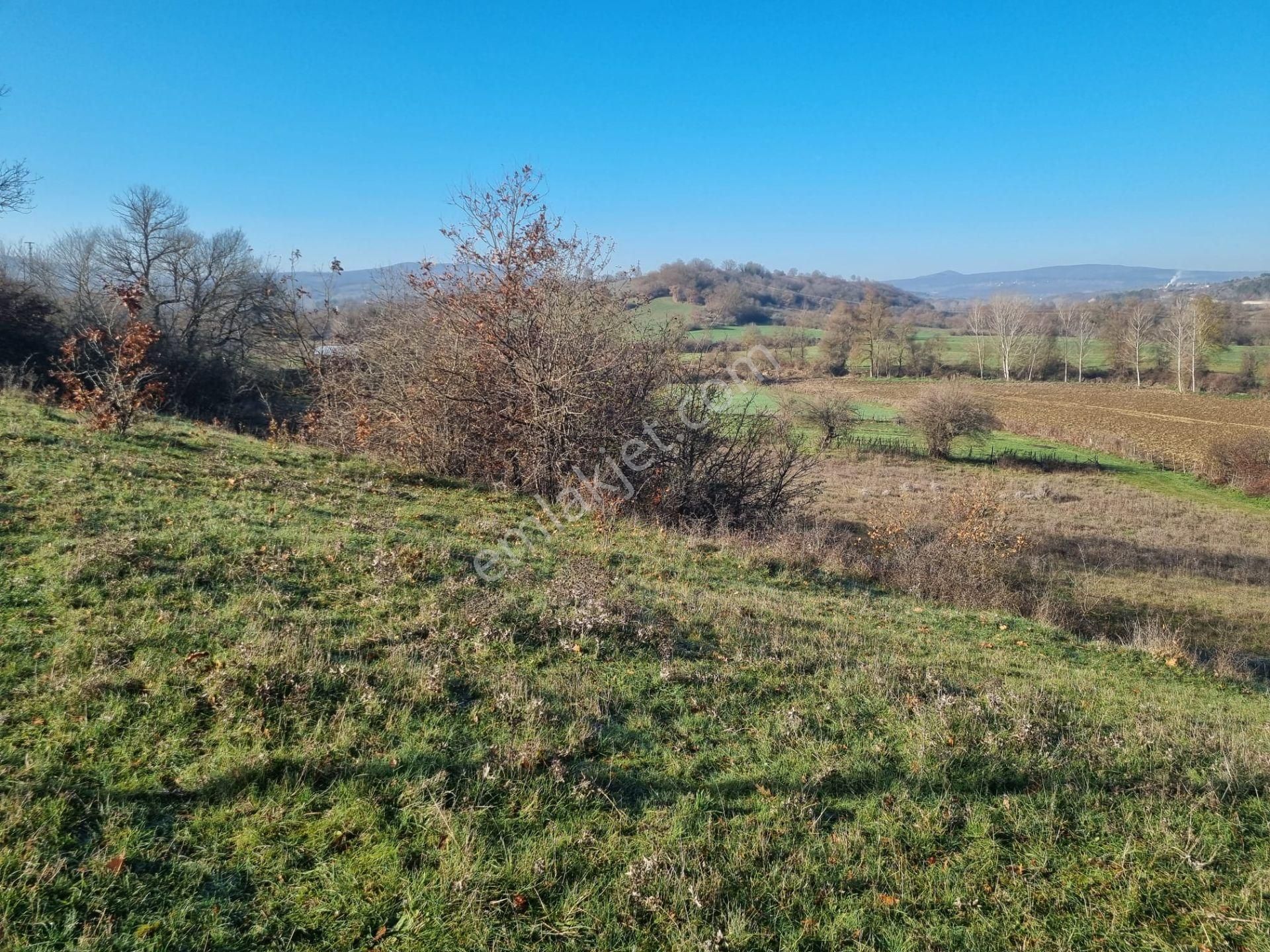 Akgün Kurumsal'dan Kavak'da Satılık Fırsat 1800 M2 Tarla - Görsel 2