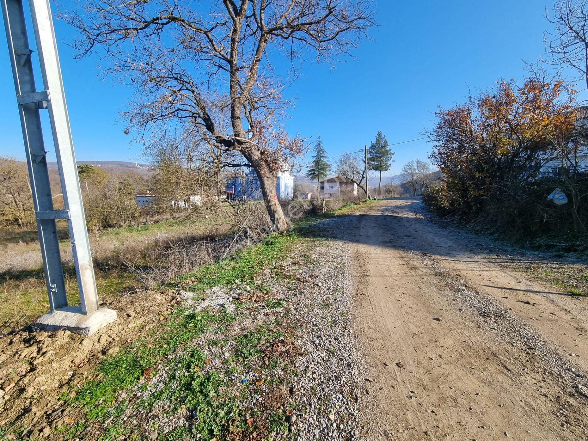 Akgün Kurumsal'dan Kavak'da Satılık Fırsat 1800 M2 Tarla - Görsel 3