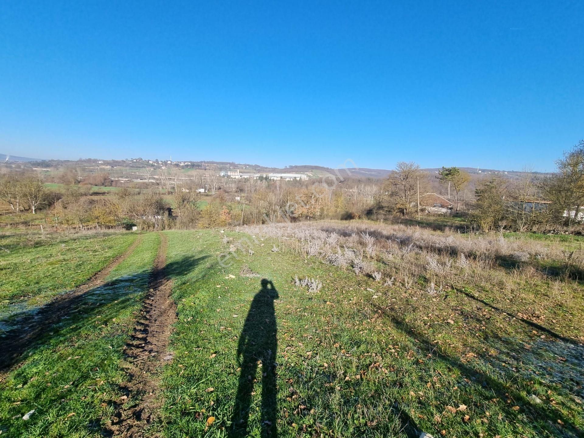 Akgün Kurumsal'dan Kavak'da Satılık Fırsat 1800 M2 Tarla - Görsel 8