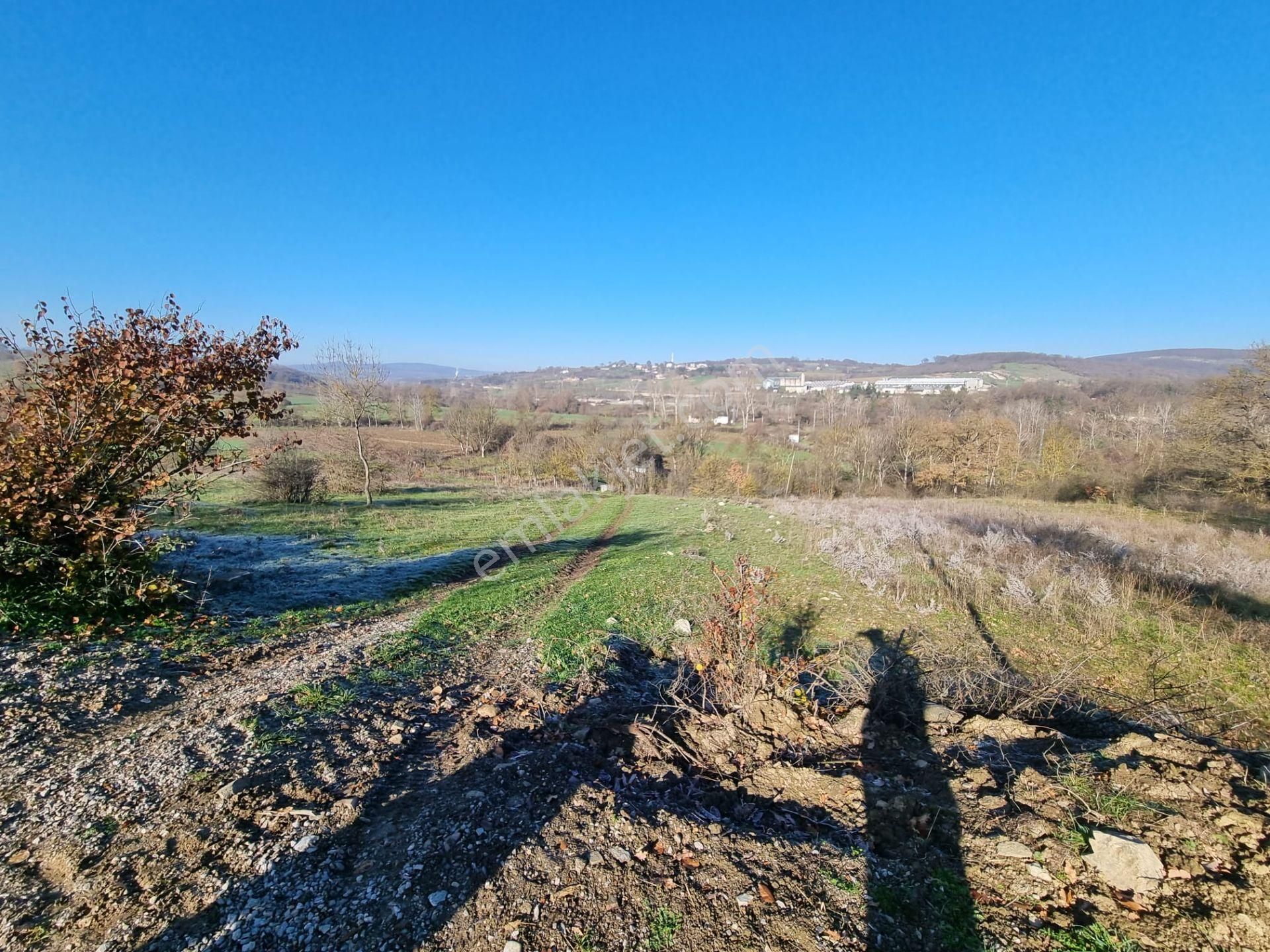 Akgün Kurumsal'dan Kavak'da Satılık Fırsat 1800 M2 Tarla - Görsel 13