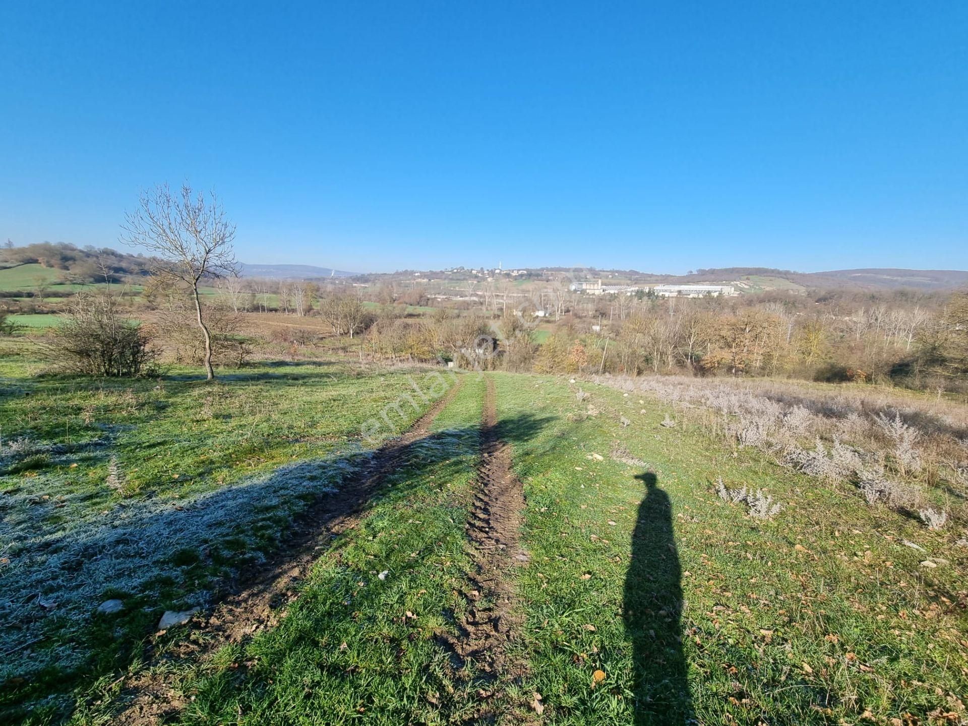 Akgün Kurumsal'dan Kavak'da Satılık Fırsat 1800 M2 Tarla - Görsel 9