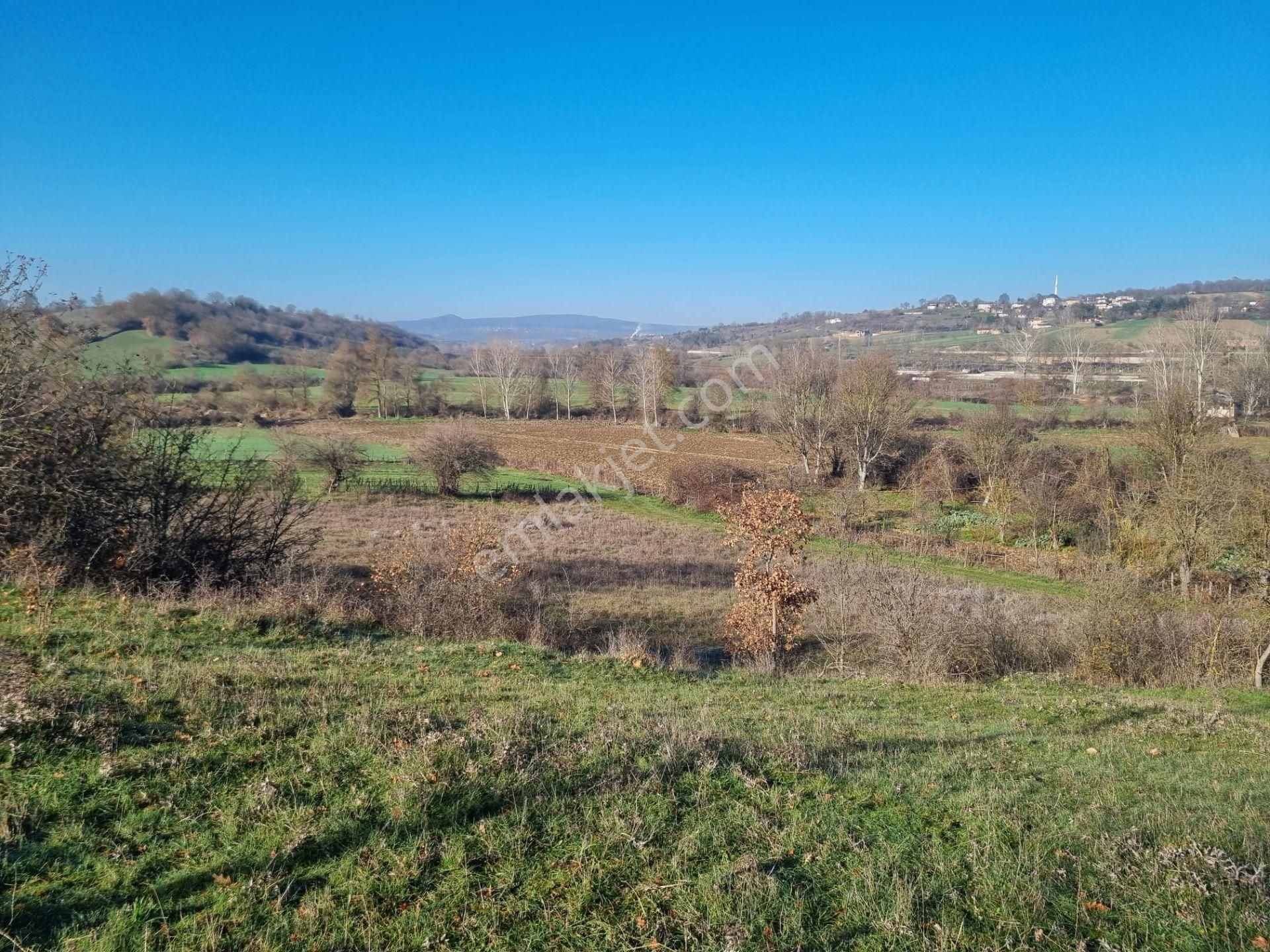 Akgün Kurumsal'dan Kavak'da Satılık Fırsat 1800 M2 Tarla