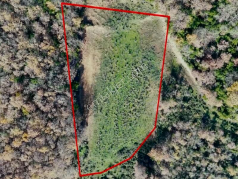 C21 Cius; Haydariye'de İmarlı Yolu Hazır 1852 M2 Arsa