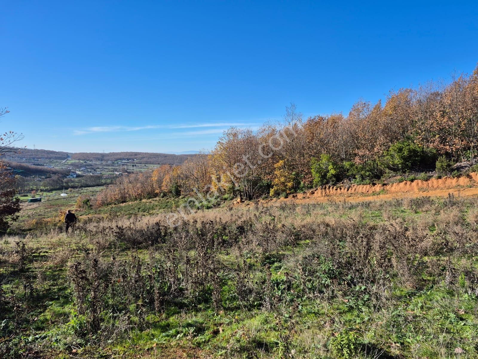 C21 Cius; Haydariye'de İmarlı Yolu Hazır 1852 M2 Arsa - Görsel 4