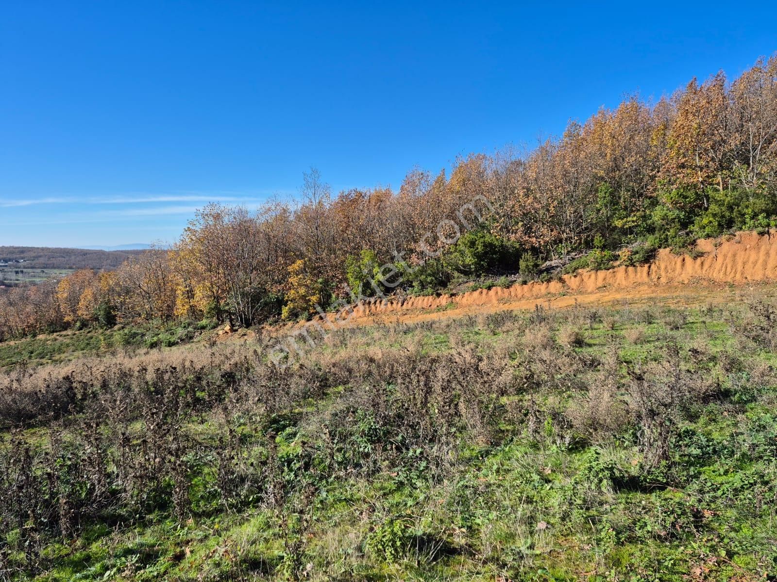 C21 Cius; Haydariye'de İmarlı Yolu Hazır 1852 M2 Arsa - Görsel 7