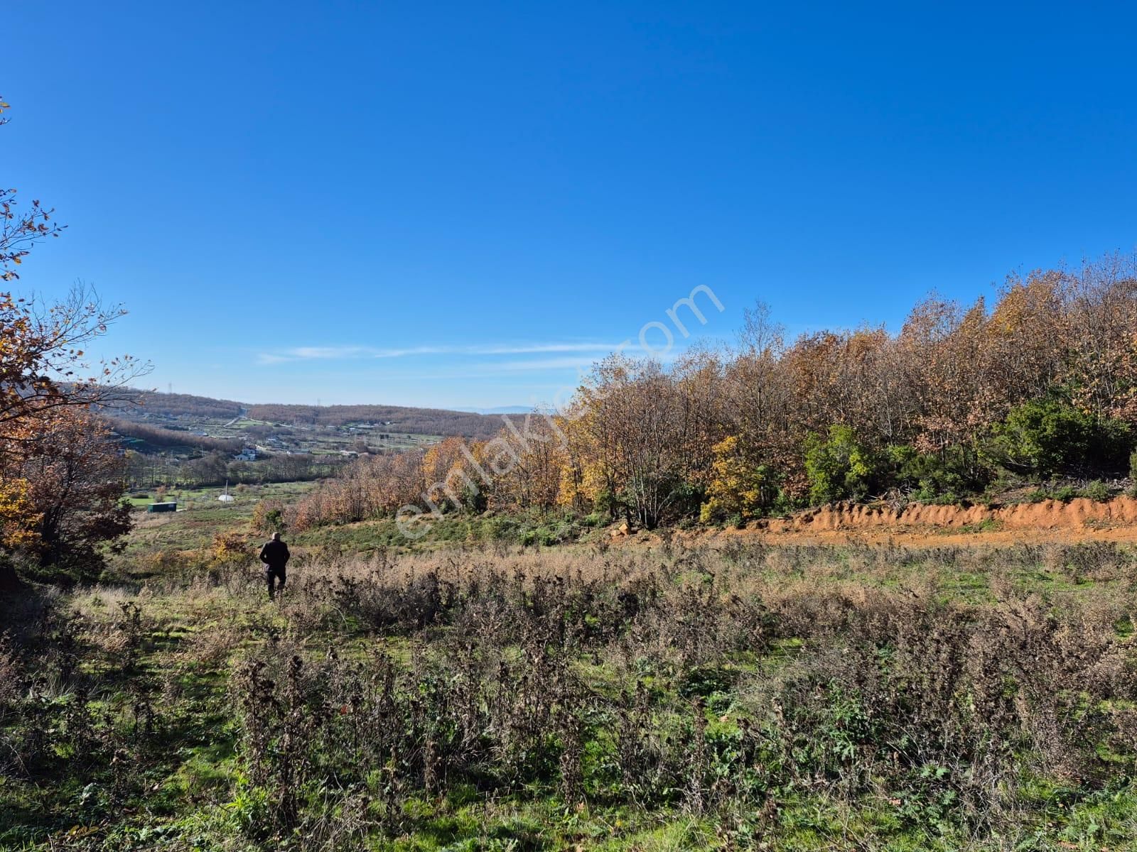 C21 Cius; Haydariye'de İmarlı Yolu Hazır 1852 M2 Arsa - Görsel 6