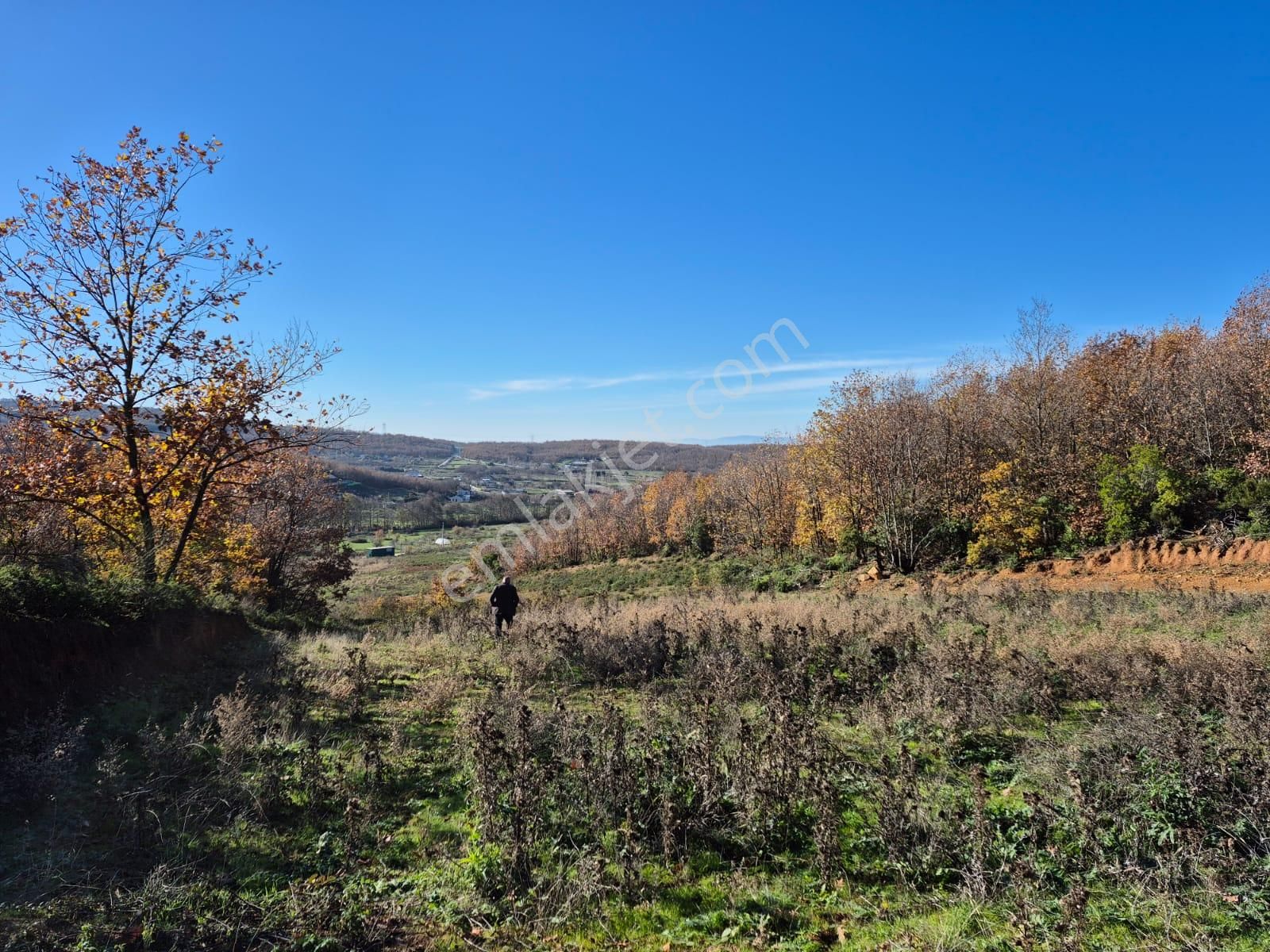 C21 Cius; Haydariye'de İmarlı Yolu Hazır 1852 M2 Arsa - Görsel 5