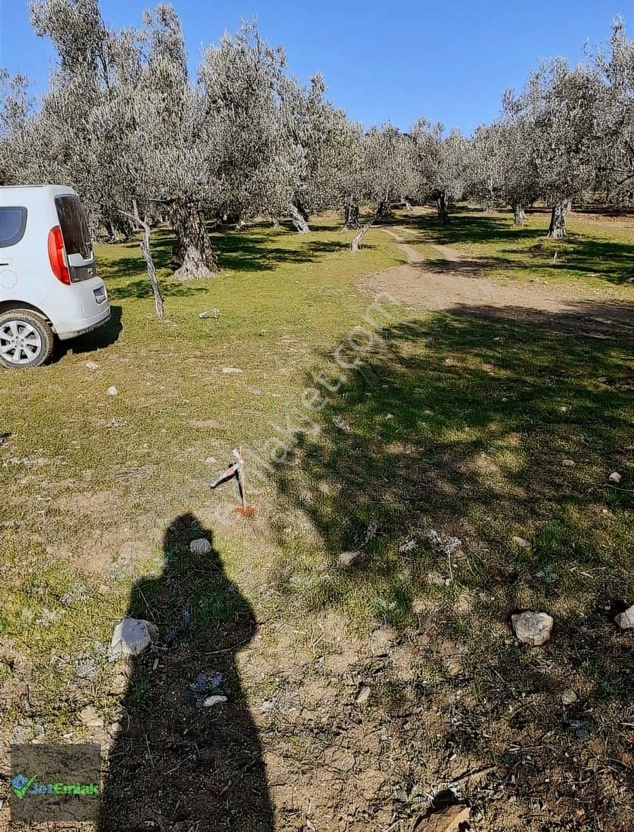 Jet'ten Kalabakta Resmi Yolu Olan Satılık Hobi Bahçesi 260 M2 - Görsel 7