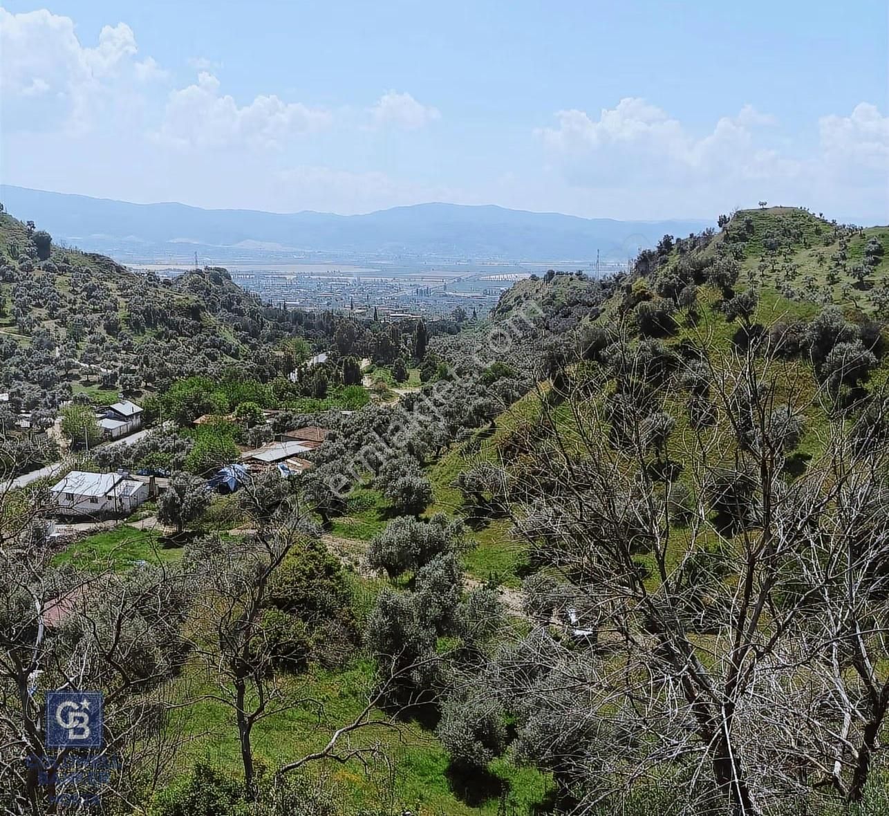 Aydın Efeler Pınardere'de Satılık Zeytinlik - Görsel 34