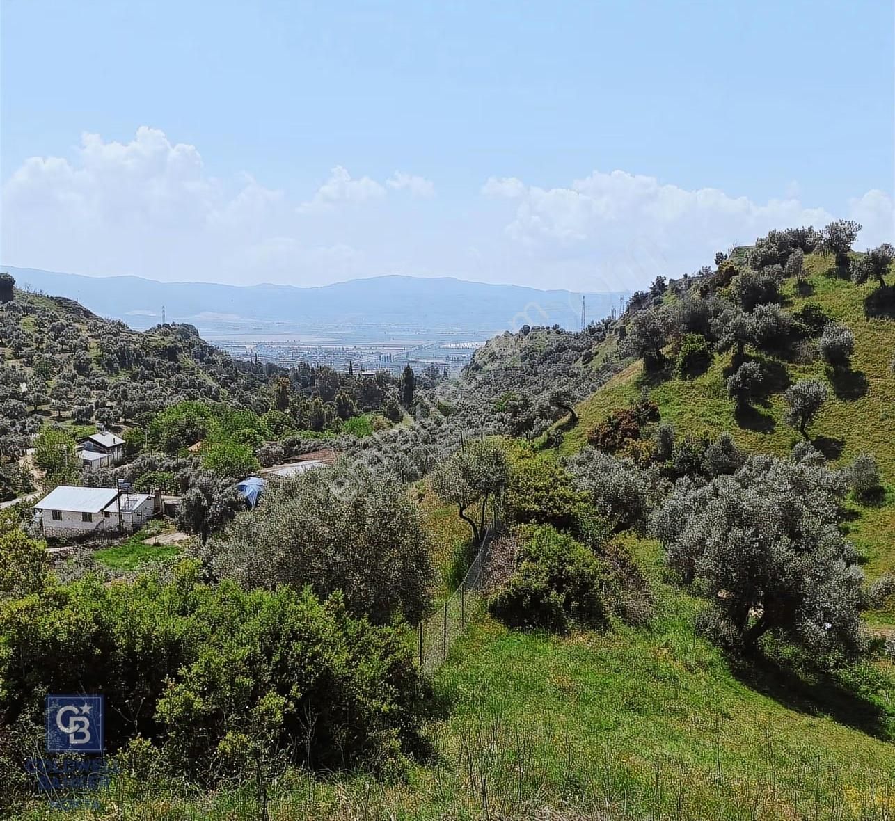 Aydın Efeler Pınardere'de Satılık Zeytinlik - Görsel 13