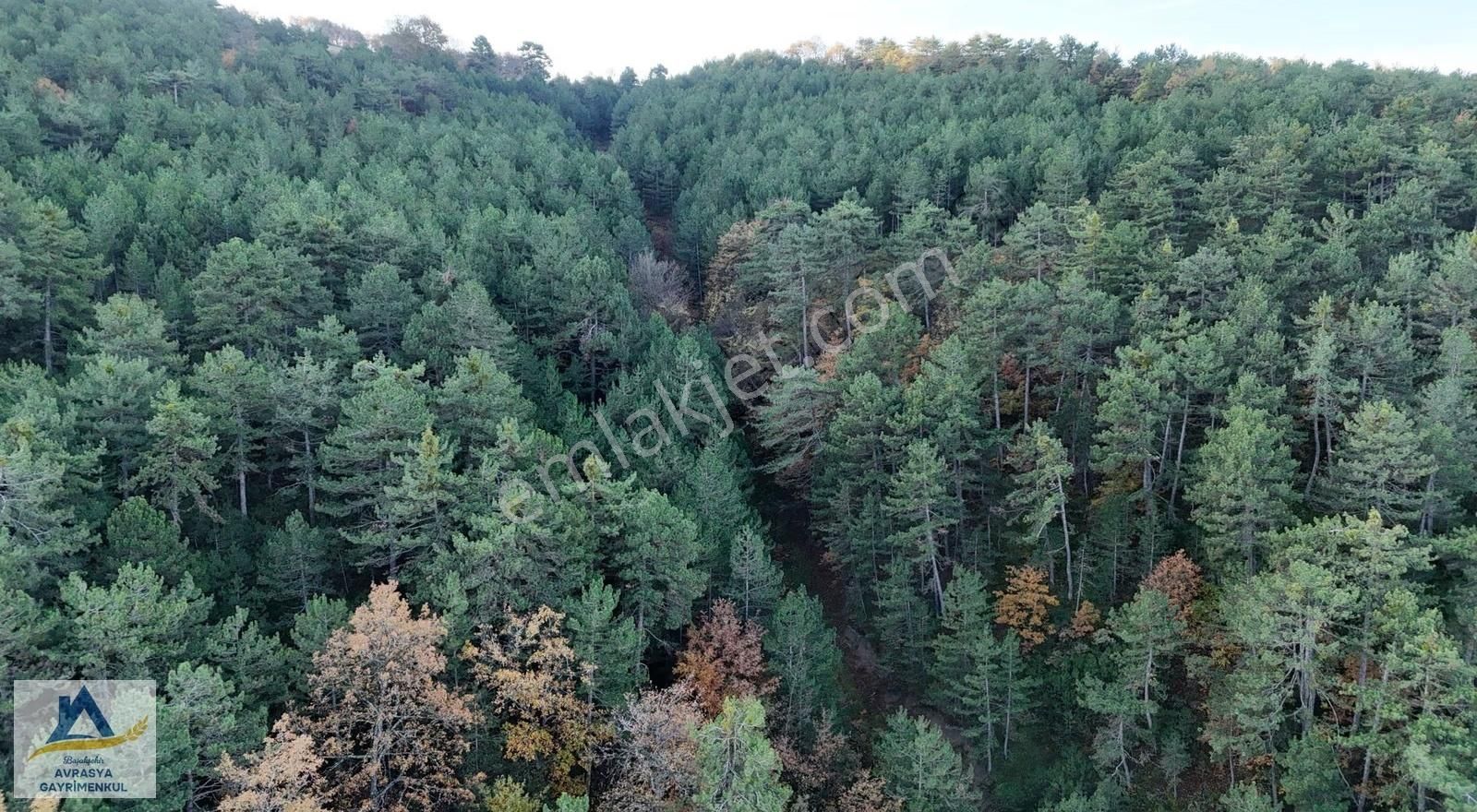 Satılık Turizm İmarlı Arsa - 20 Dönüm Geyve Taraklı Yoluna Cephe - Görsel 16