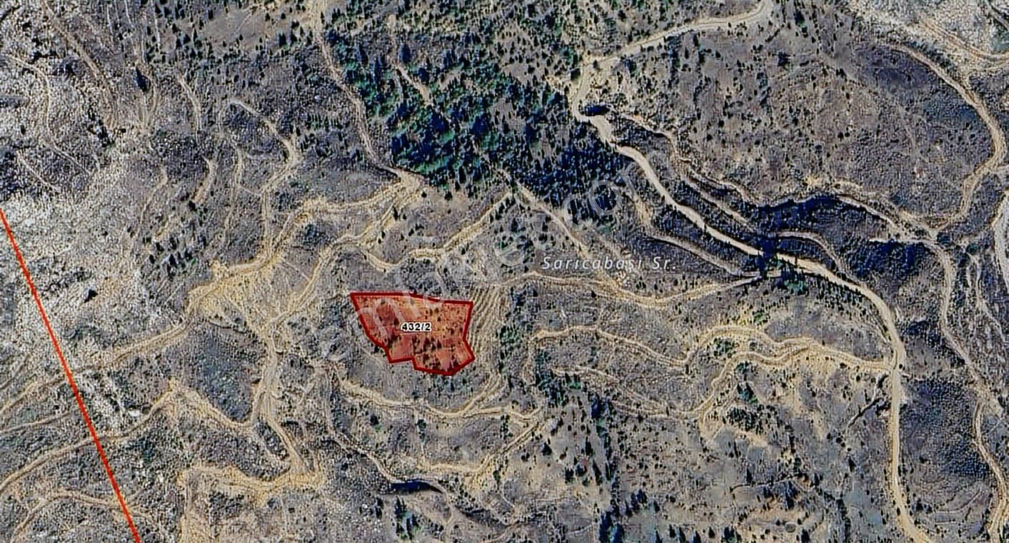 Antalya Akseki Hocaköy Mahallesi Satılık Tek Tapu Tarla - Görsel 4