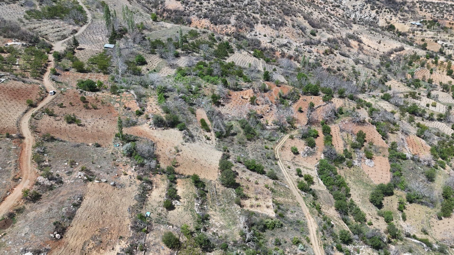 Konya / Hadim / Göynükkışla Mahallesinde 43 M² Müstakil Tapulu Bahçe - Görsel 21