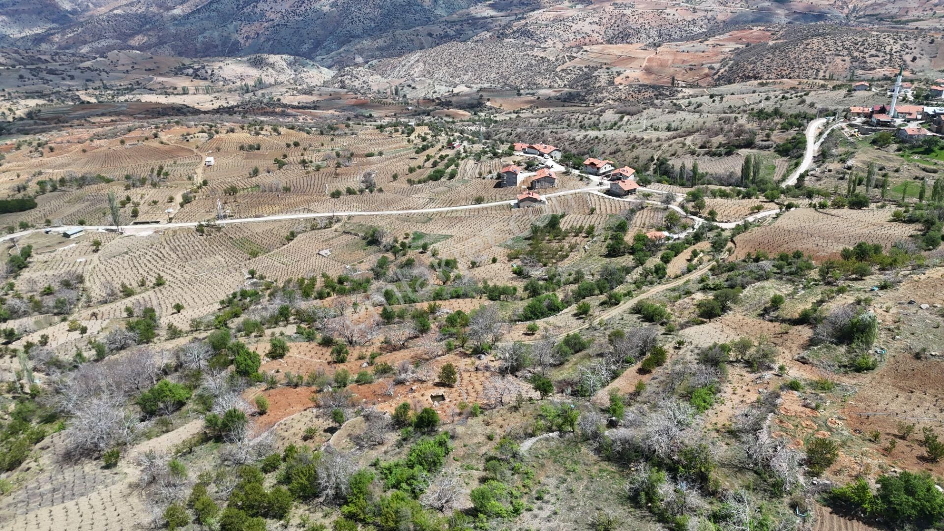 Konya / Hadim / Göynükkışla Mahallesinde 43 M² Müstakil Tapulu Bahçe - Görsel 6