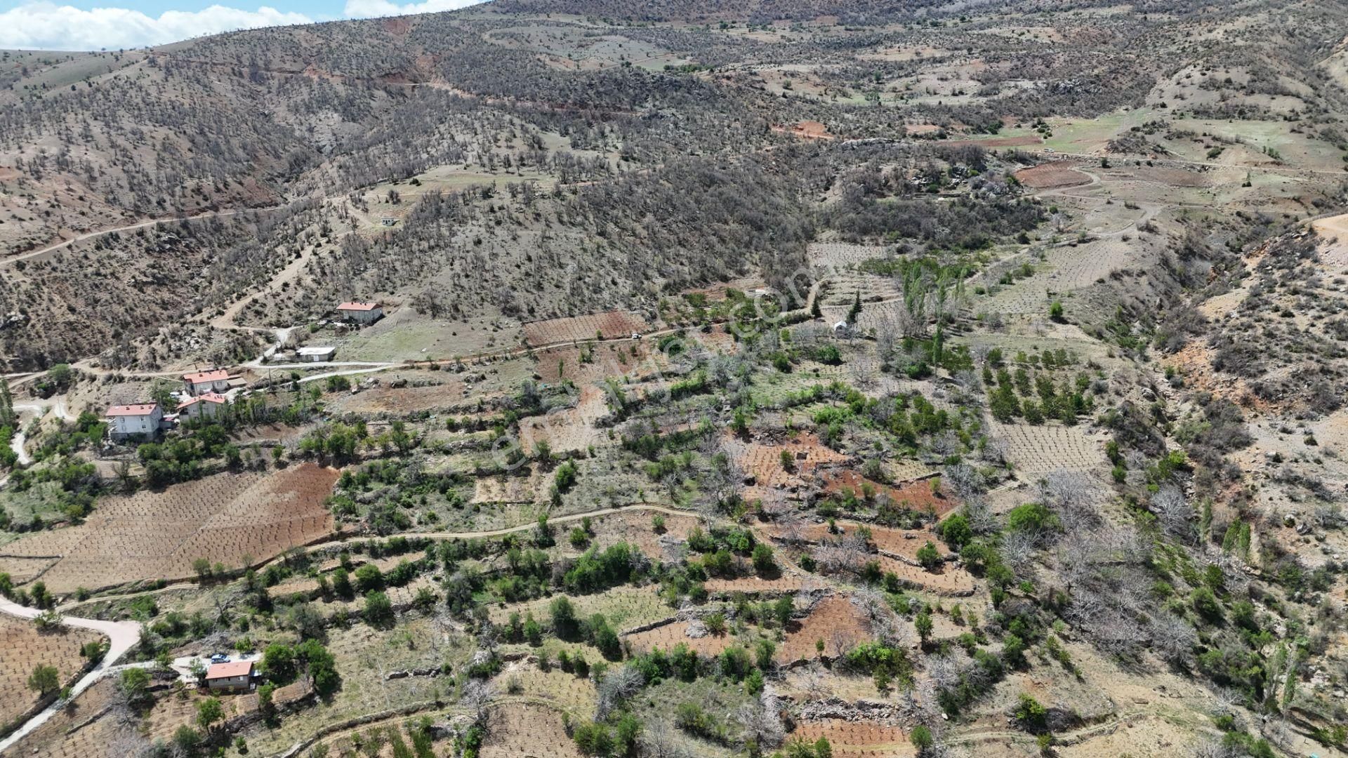 Konya / Hadim / Göynükkışla Mahallesinde 43 M² Müstakil Tapulu Bahçe - Görsel 15