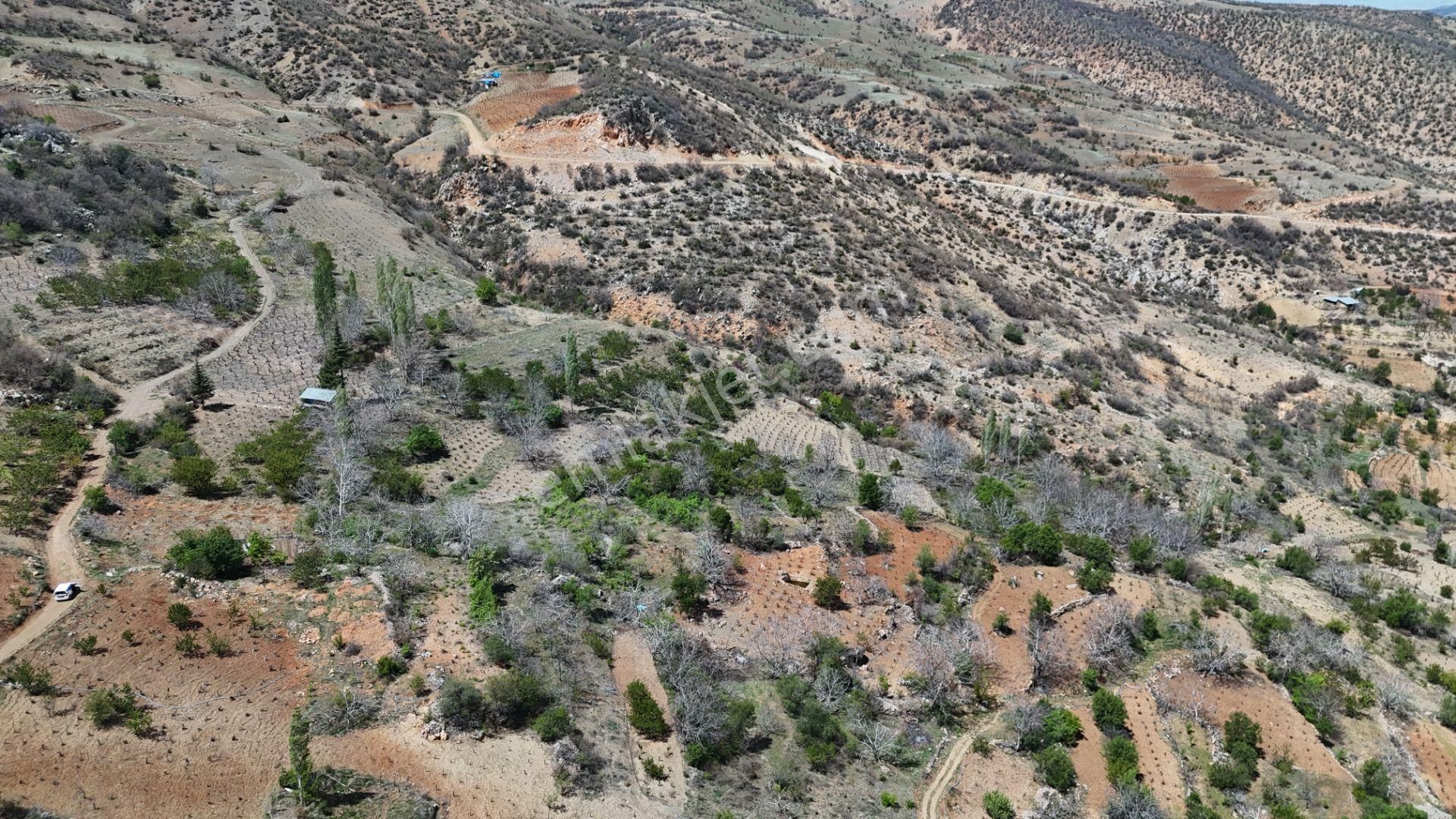 Konya / Hadim / Göynükkışla Mahallesinde 43 M² Müstakil Tapulu Bahçe - Görsel 22