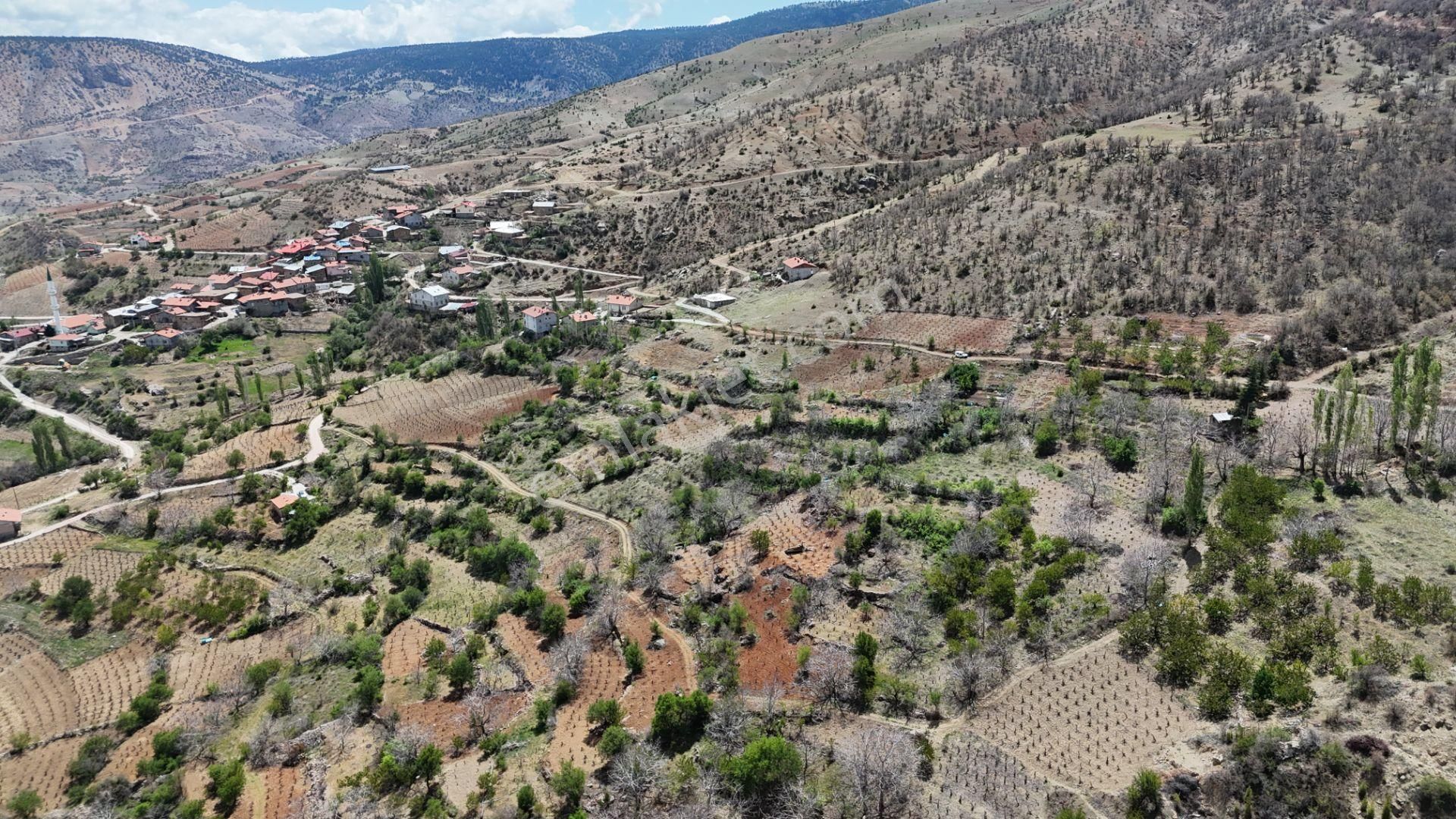 Konya / Hadim / Göynükkışla Mahallesinde 43 M² Müstakil Tapulu Bahçe - Görsel 11