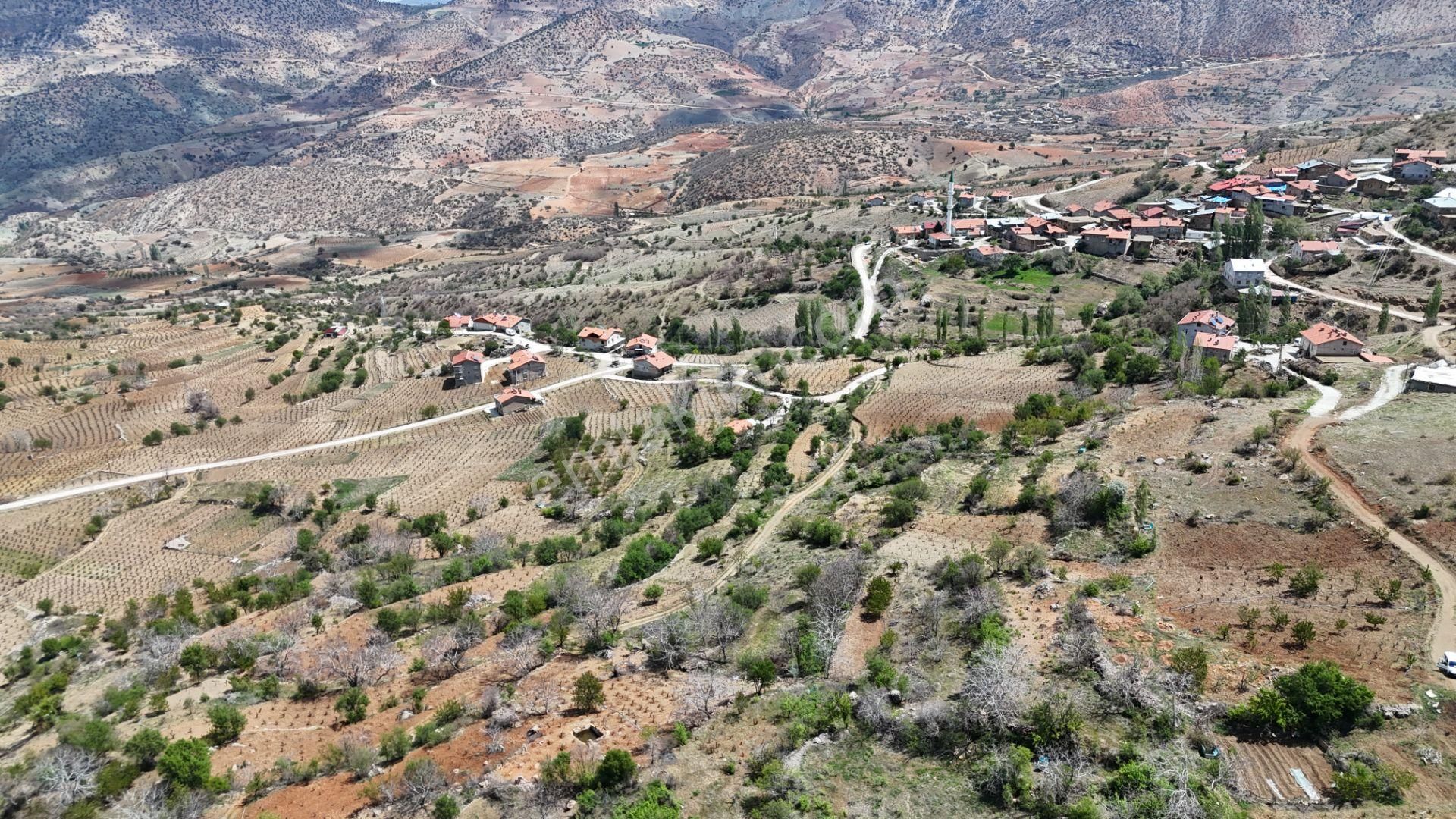 Konya / Hadim / Göynükkışla Mahallesinde 43 M² Müstakil Tapulu Bahçe - Görsel 8
