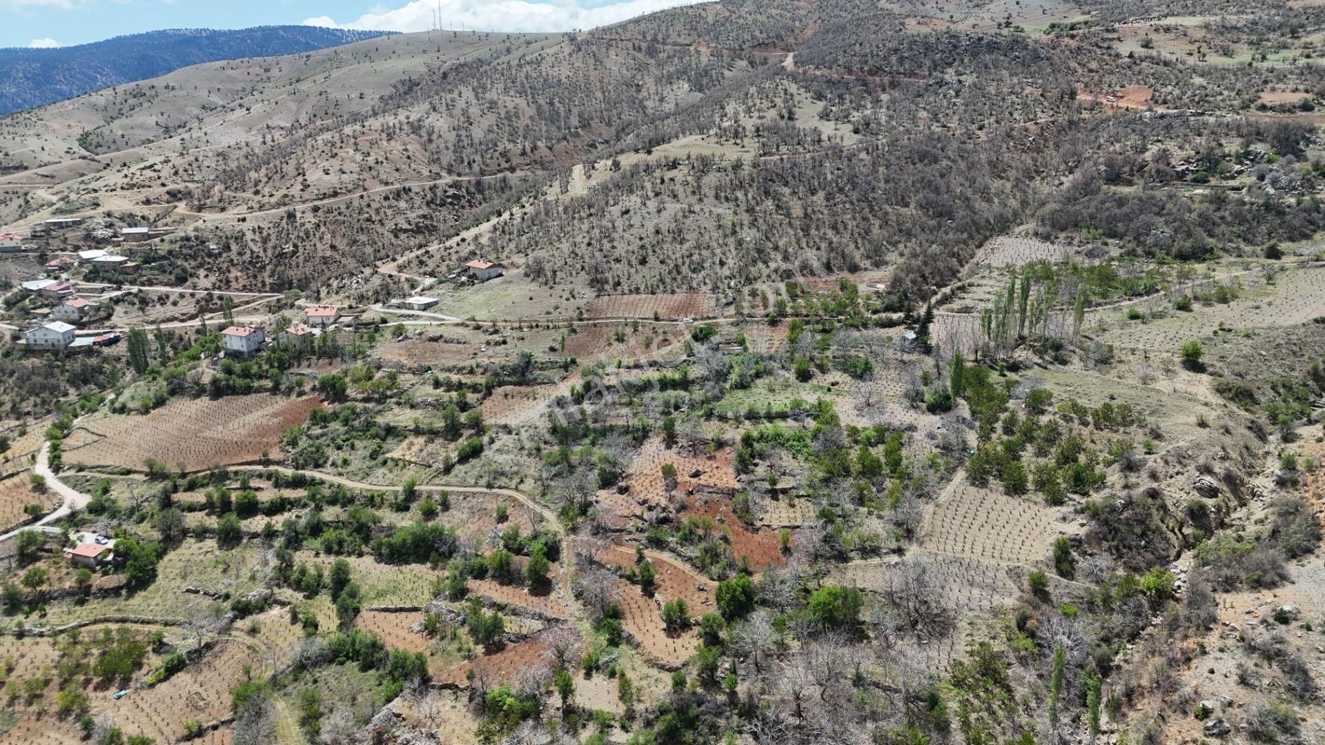 Konya / Hadim / Göynükkışla Mahallesinde 43 M² Müstakil Tapulu Bahçe - Görsel 13