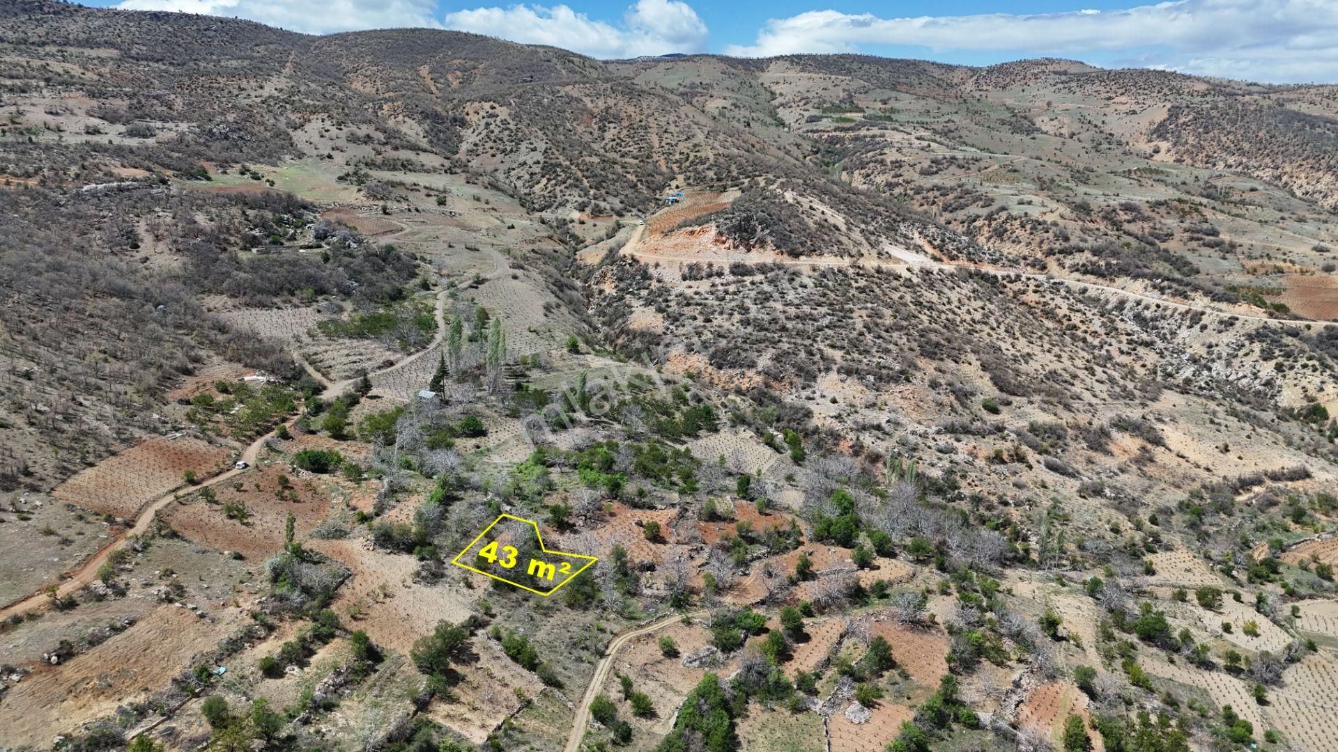 Konya / Hadim / Göynükkışla Mahallesinde 43 M² Müstakil Tapulu Bahçe - Görsel 3