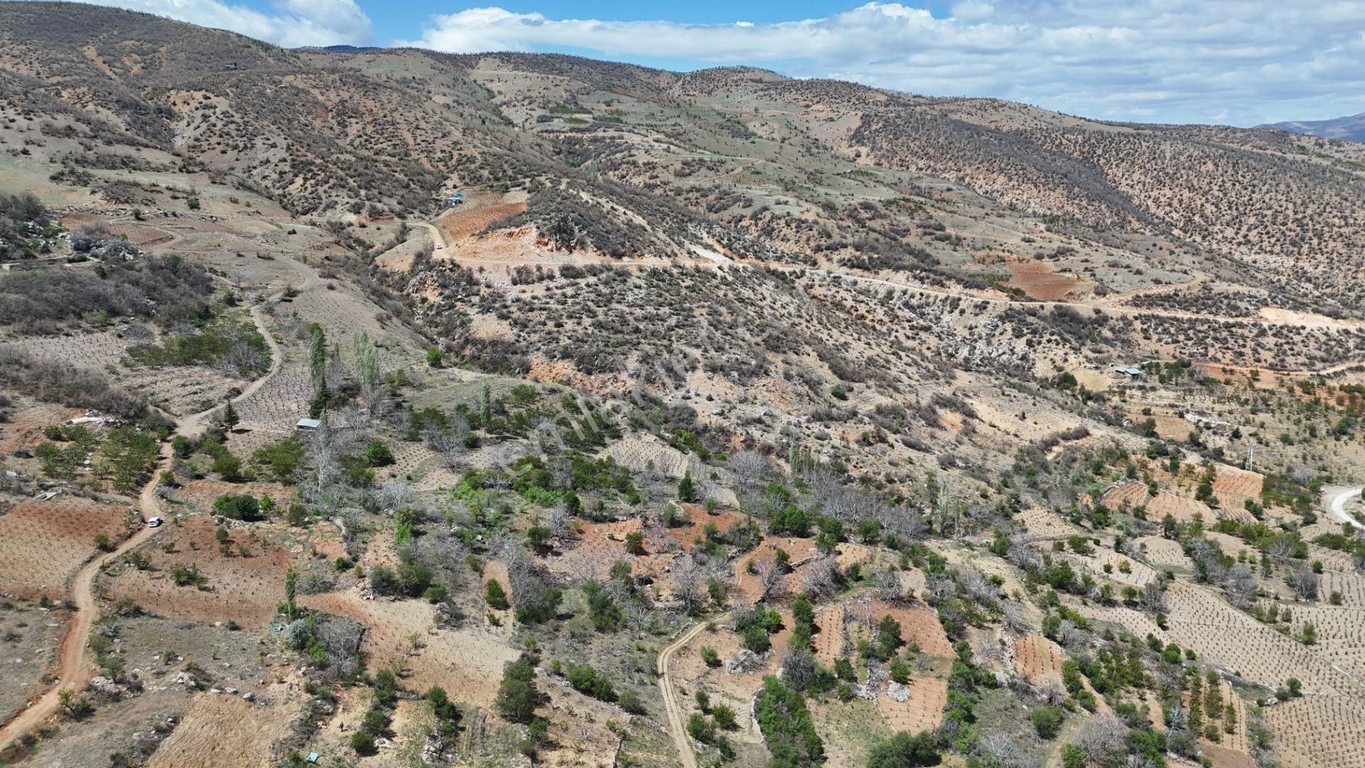 Konya / Hadim / Göynükkışla Mahallesinde 43 M² Müstakil Tapulu Bahçe - Görsel 19