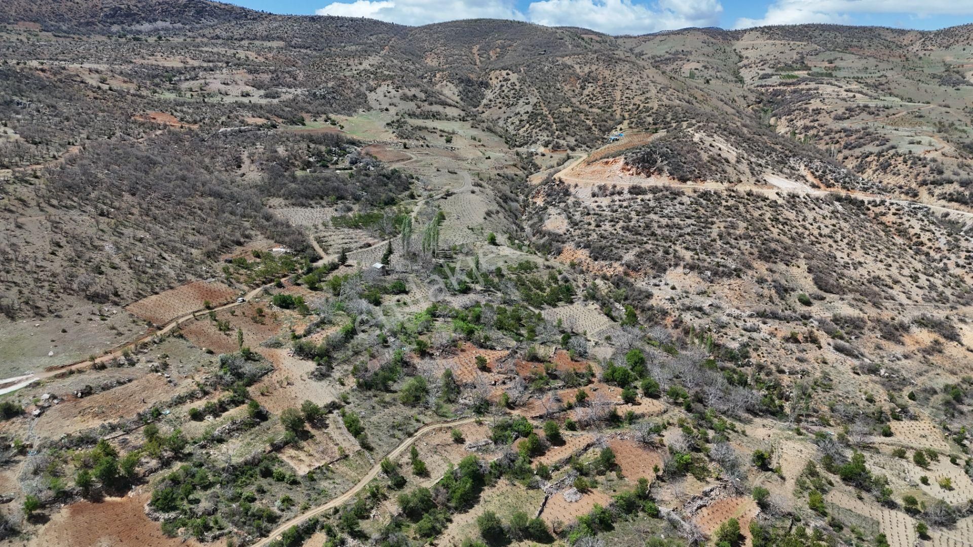 Konya / Hadim / Göynükkışla Mahallesinde 43 M² Müstakil Tapulu Bahçe - Görsel 18