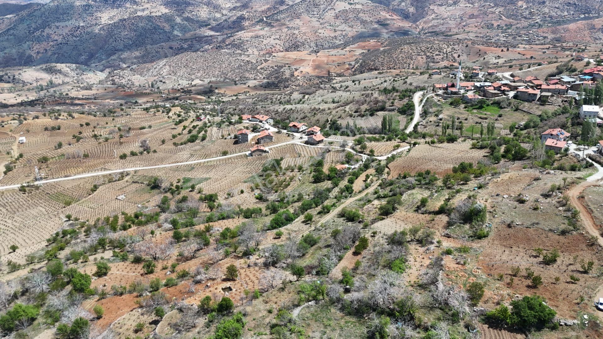 Konya / Hadim / Göynükkışla Mahallesinde 43 M² Müstakil Tapulu Bahçe - Görsel 7