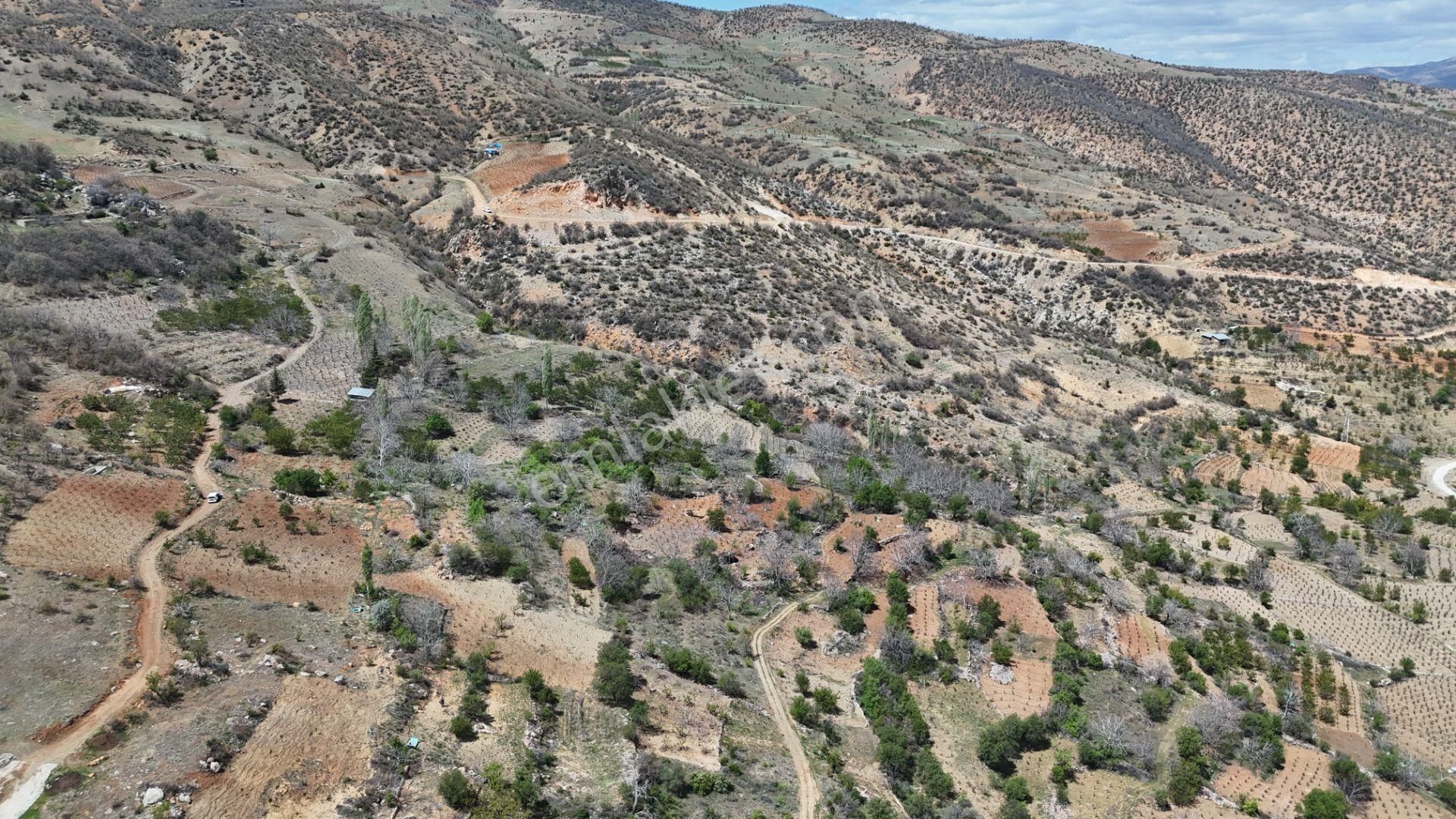 Konya / Hadim / Göynükkışla Mahallesinde 43 M² Müstakil Tapulu Bahçe - Görsel 20