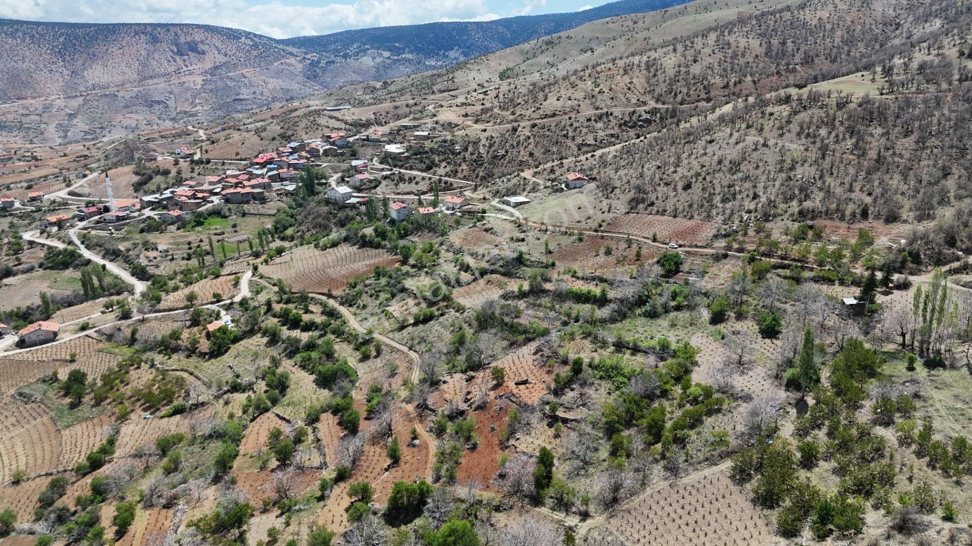 Konya / Hadim / Göynükkışla Mahallesinde 43 M² Müstakil Tapulu Bahçe - Görsel 10