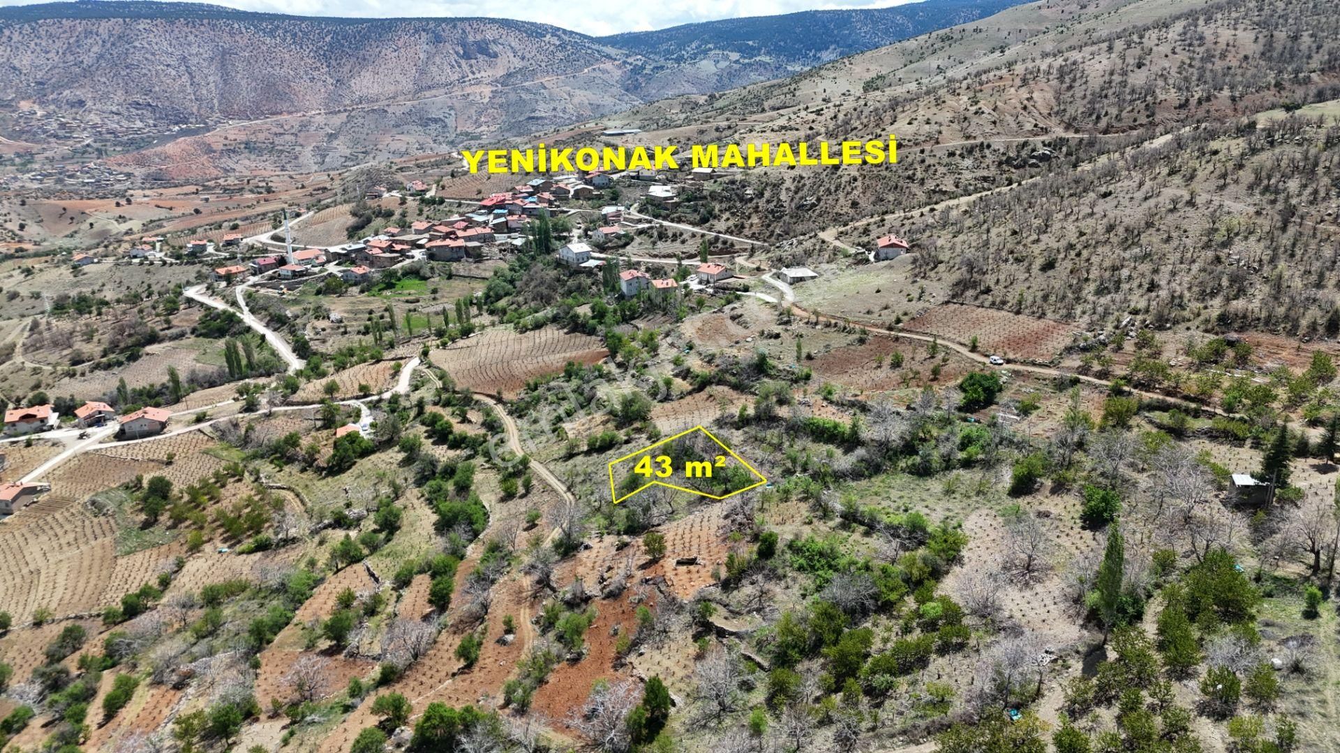 Konya / Hadim / Göynükkışla Mahallesinde 43 M² Müstakil Tapulu Bahçe