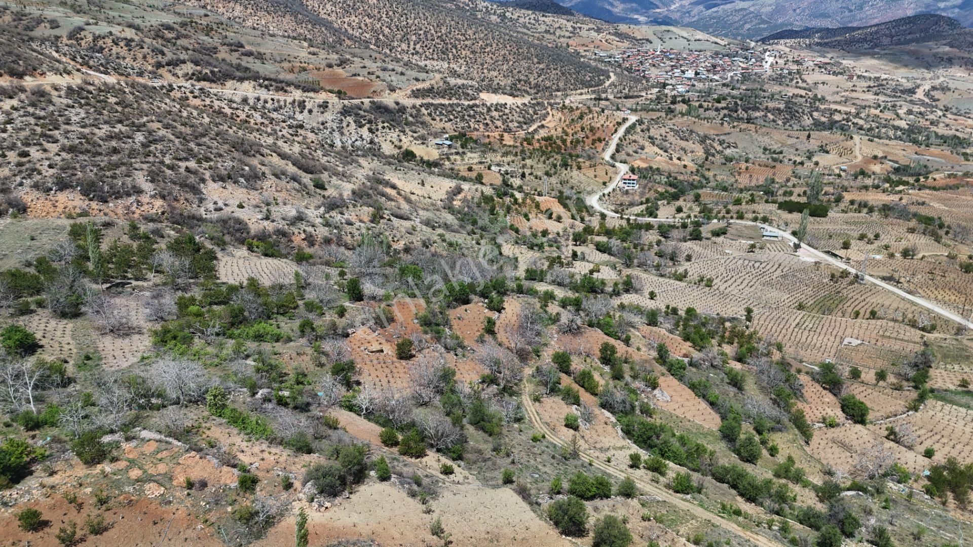 Konya / Hadim / Göynükkışla Mahallesinde 43 M² Müstakil Tapulu Bahçe - Görsel 23