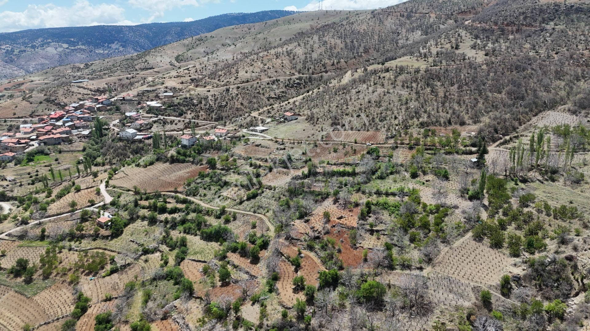 Konya / Hadim / Göynükkışla Mahallesinde 43 M² Müstakil Tapulu Bahçe - Görsel 12