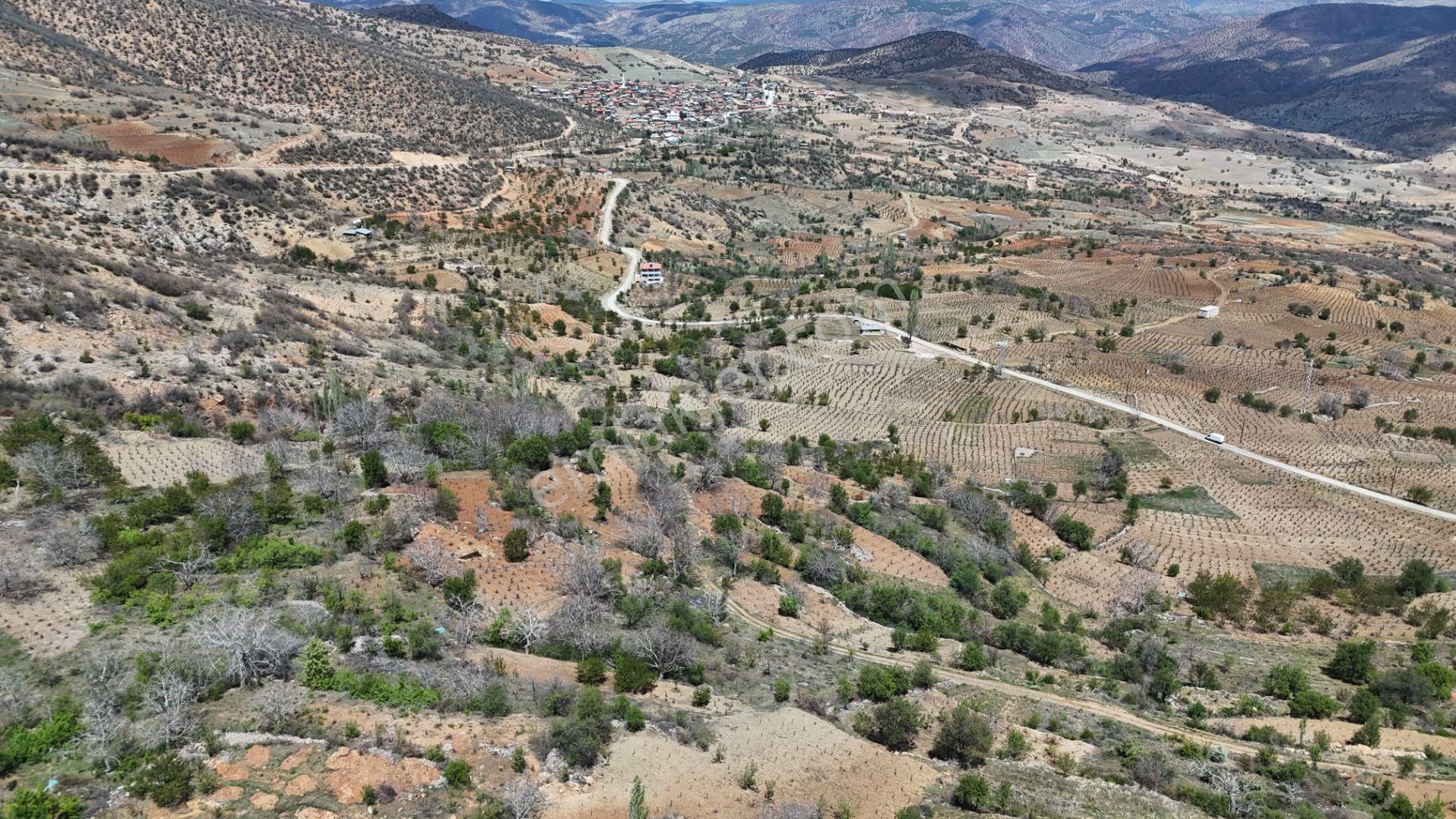 Konya / Hadim / Göynükkışla Mahallesinde 43 M² Müstakil Tapulu Bahçe - Görsel 24