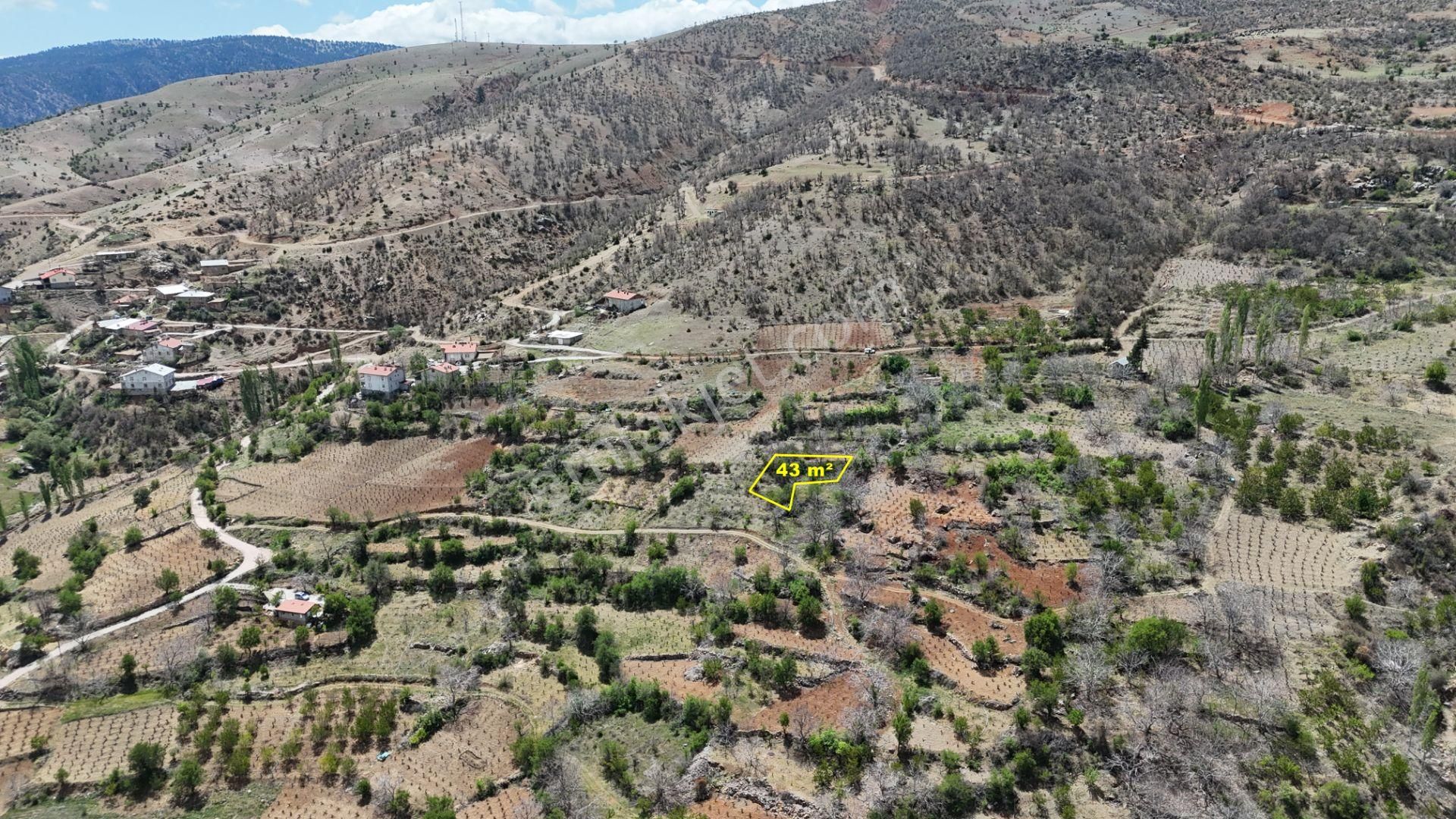 Konya / Hadim / Göynükkışla Mahallesinde 43 M² Müstakil Tapulu Bahçe - Görsel 2