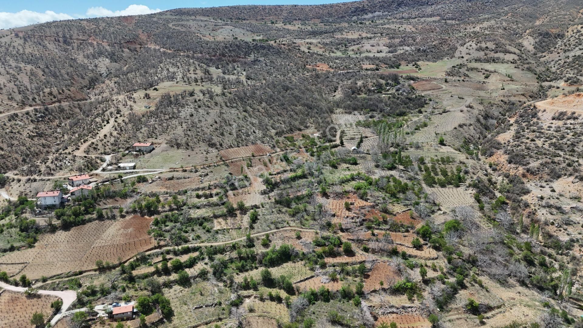 Konya / Hadim / Göynükkışla Mahallesinde 43 M² Müstakil Tapulu Bahçe - Görsel 16