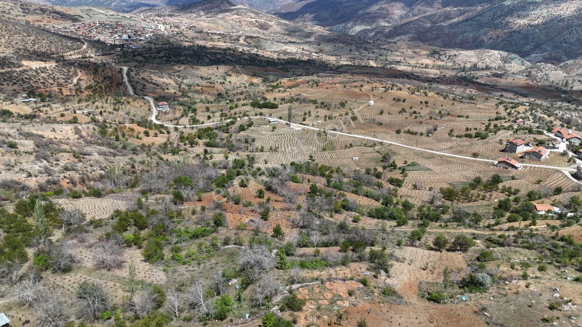 Konya / Hadim / Göynükkışla Mahallesinde 43 M² Müstakil Tapulu Bahçe - Görsel 4