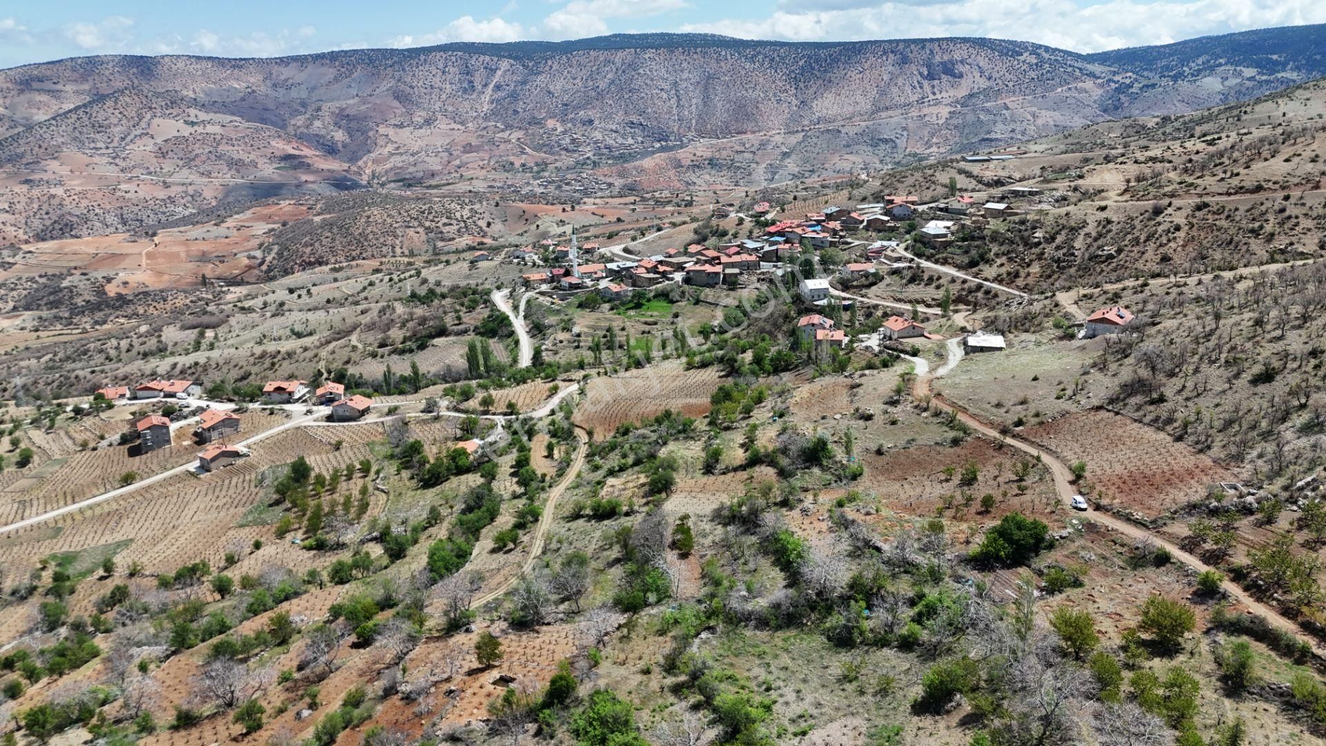 Konya / Hadim / Göynükkışla Mahallesinde 43 M² Müstakil Tapulu Bahçe - Görsel 9