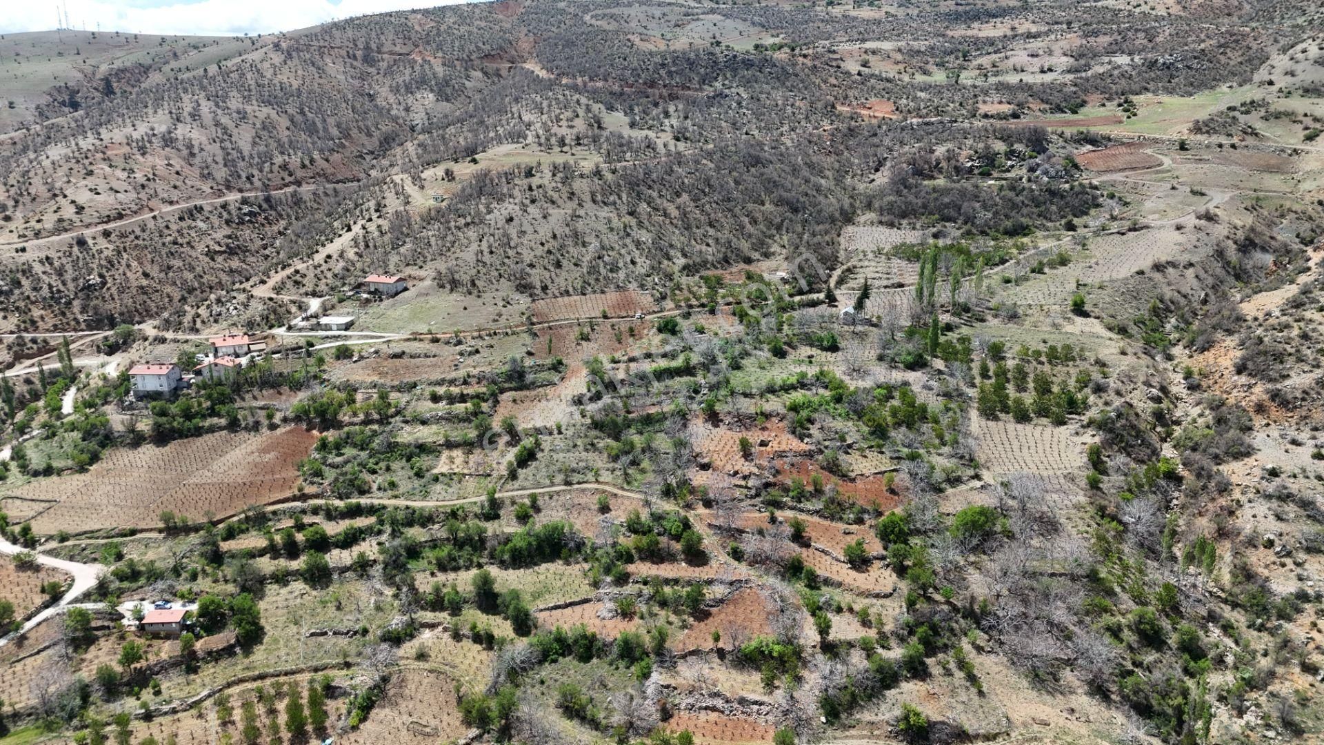 Konya / Hadim / Göynükkışla Mahallesinde 43 M² Müstakil Tapulu Bahçe - Görsel 14