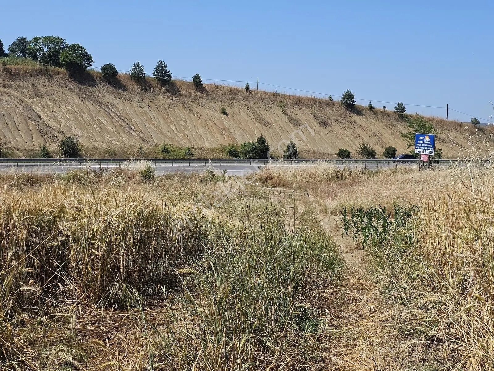 Kaynarca Yolu Yanı 1208m2 Müstakil Tek Tapu Tarla Araç Takaslı