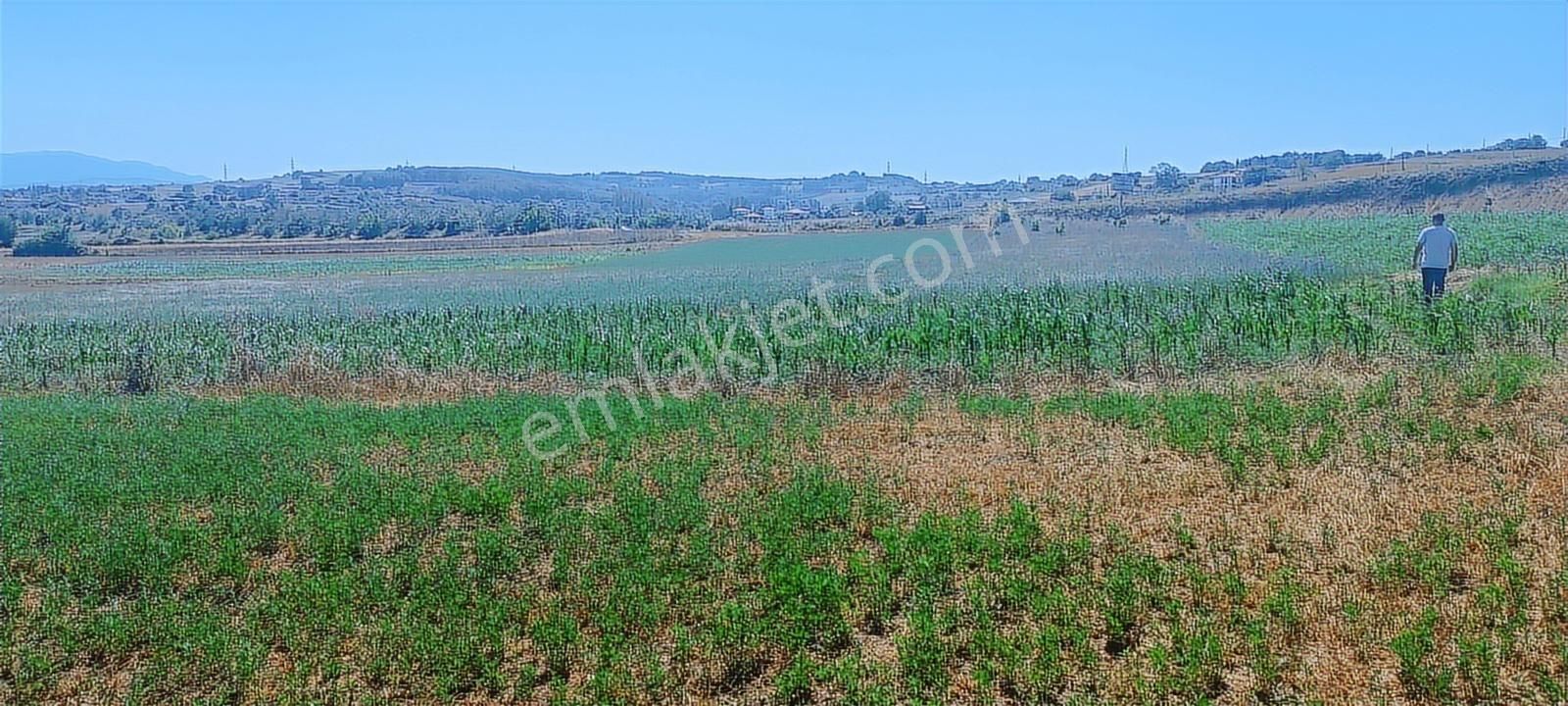 Kaynarca Yolu Yanı 1208m2 Müstakil Tek Tapu Tarla Araç Takaslı - Görsel 6