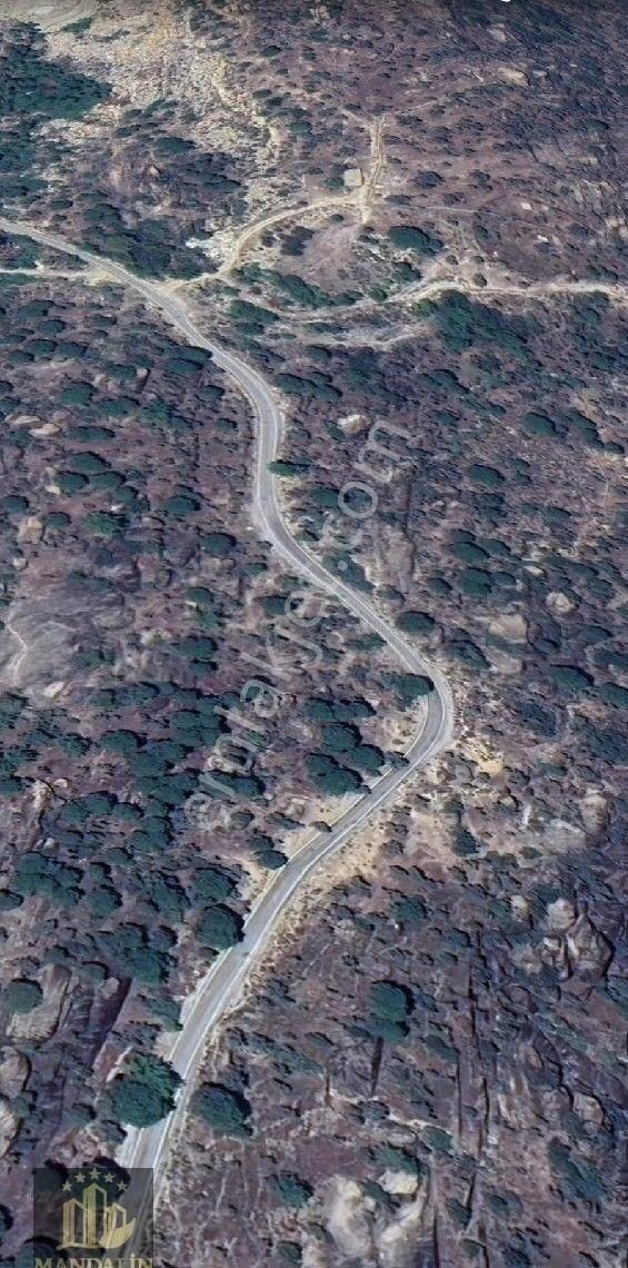 Yola Sıfır Hobi Bahçesi,zeytinlik - Görsel 3